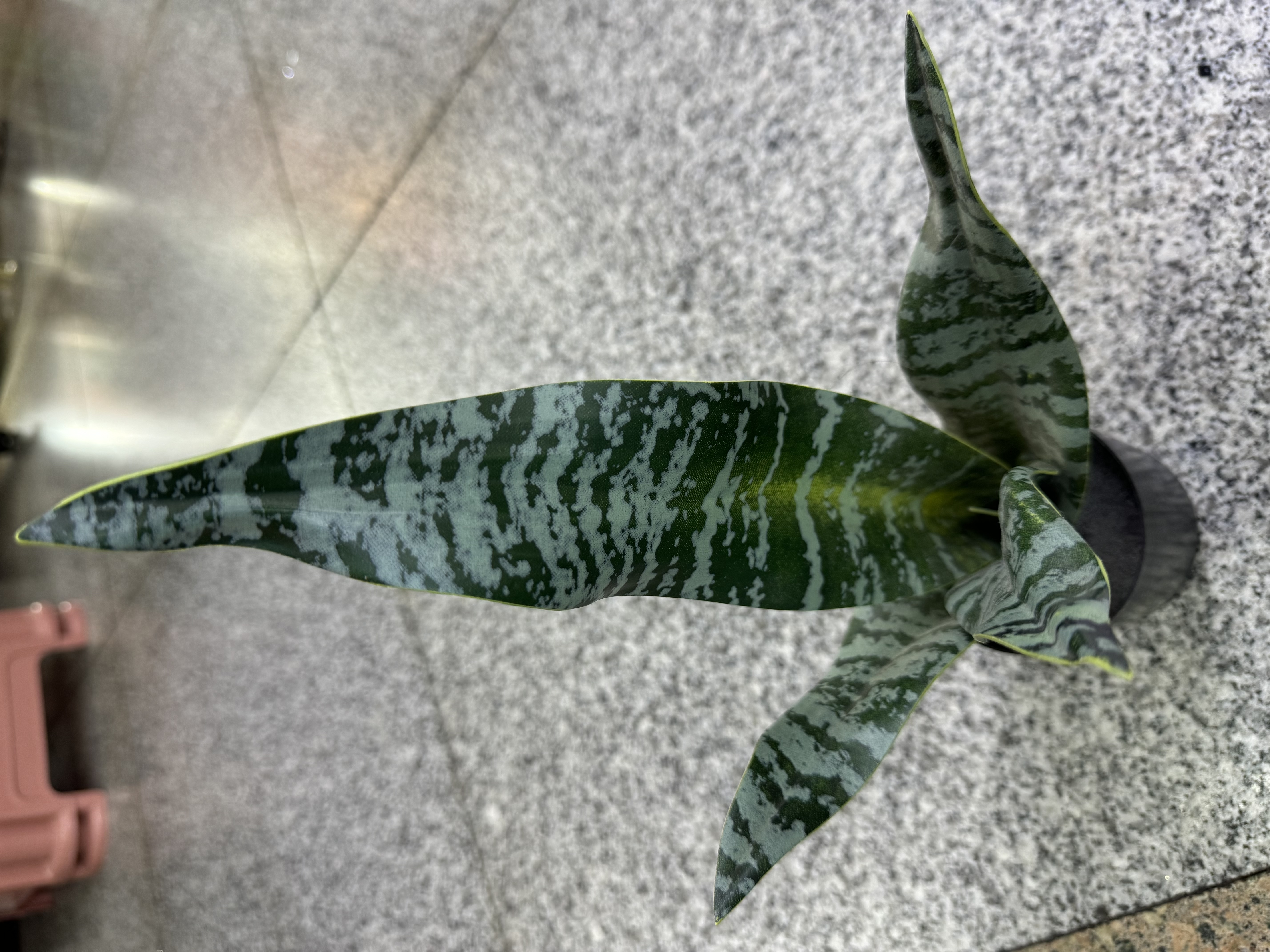 春天花园仿真花掃墓用塑膠花硅胶人造花装饰摆设河北制造产品图