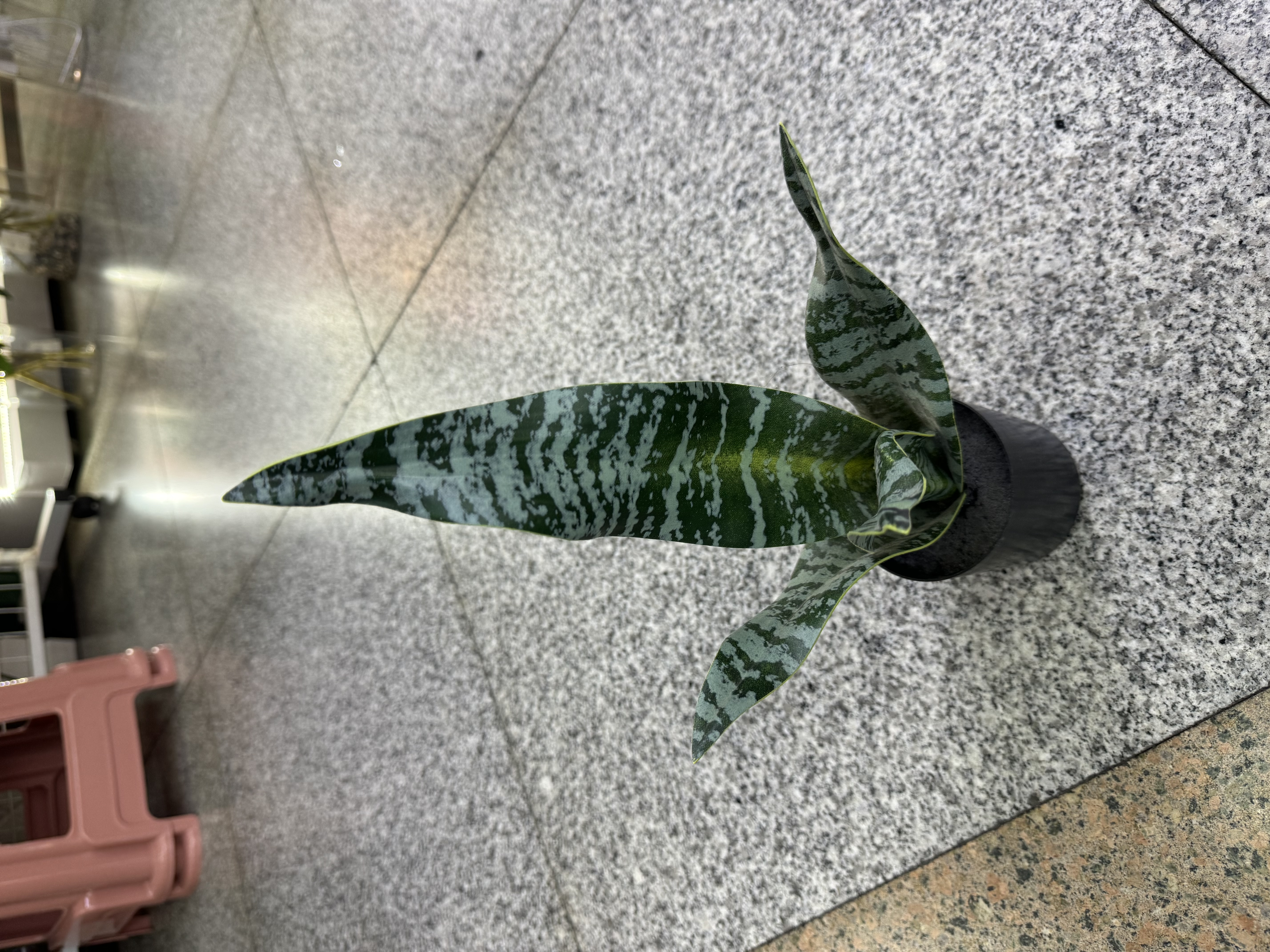 春天花园仿真花掃墓用塑膠花硅胶人造花装饰摆设河北制造