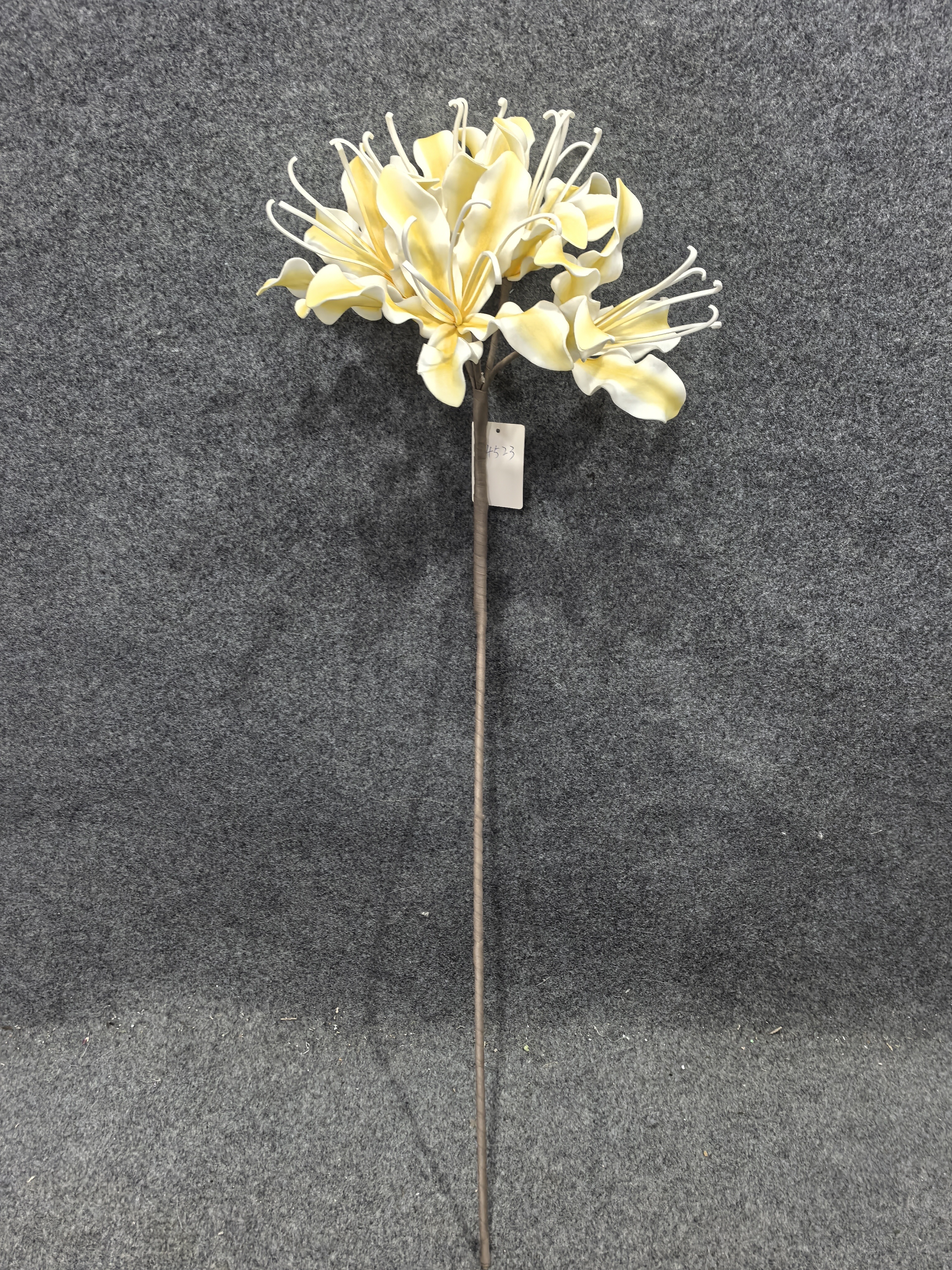 仿真花瓣实物图