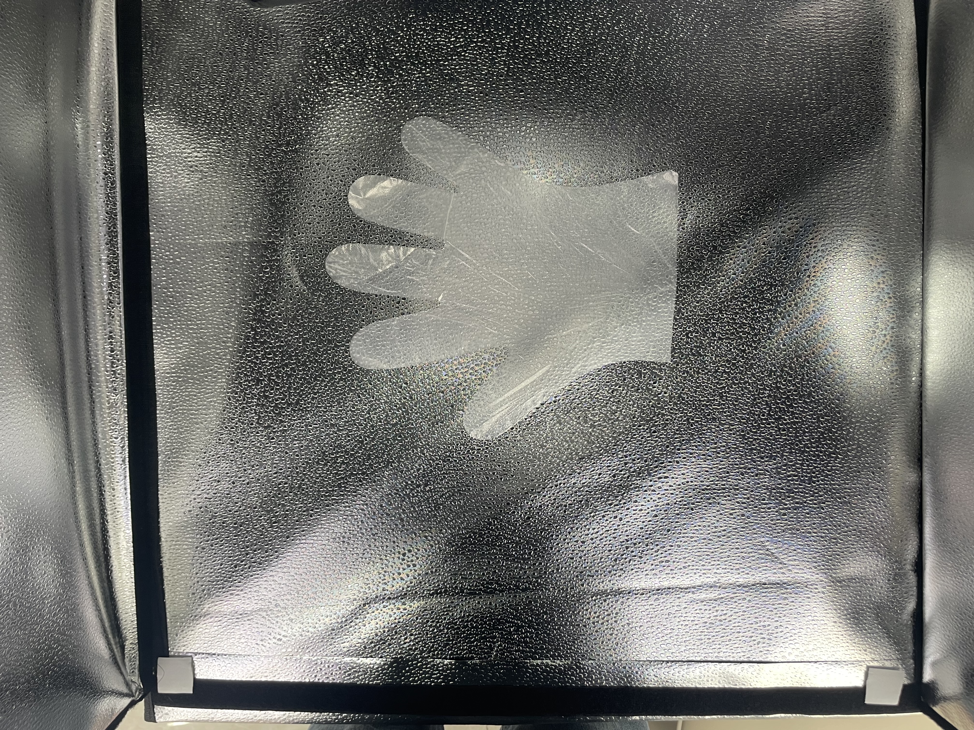 一次性手套实物图