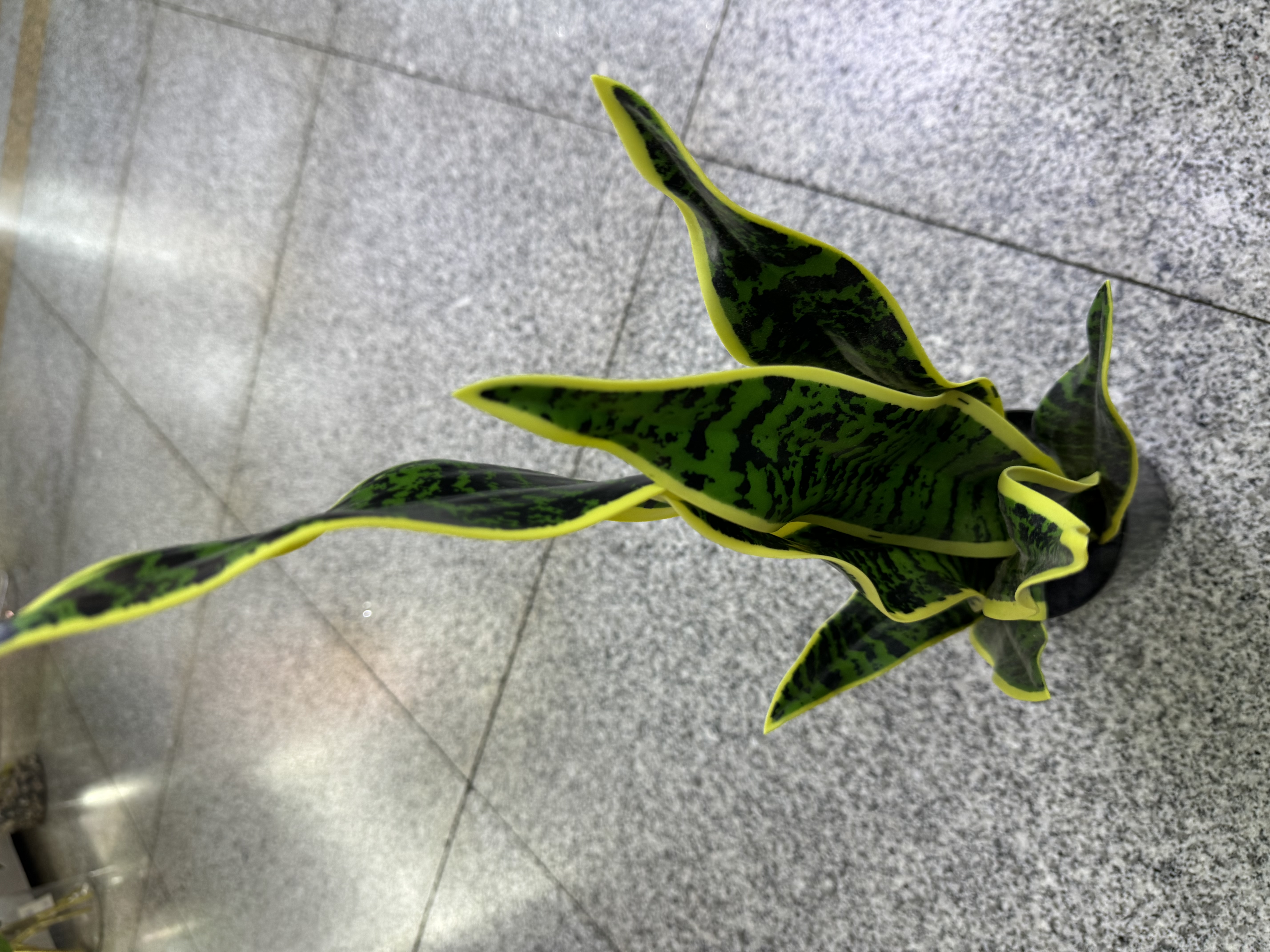 春天花园仿真花掃墓用塑膠花硅胶人造花装饰摆设河北款多色可选