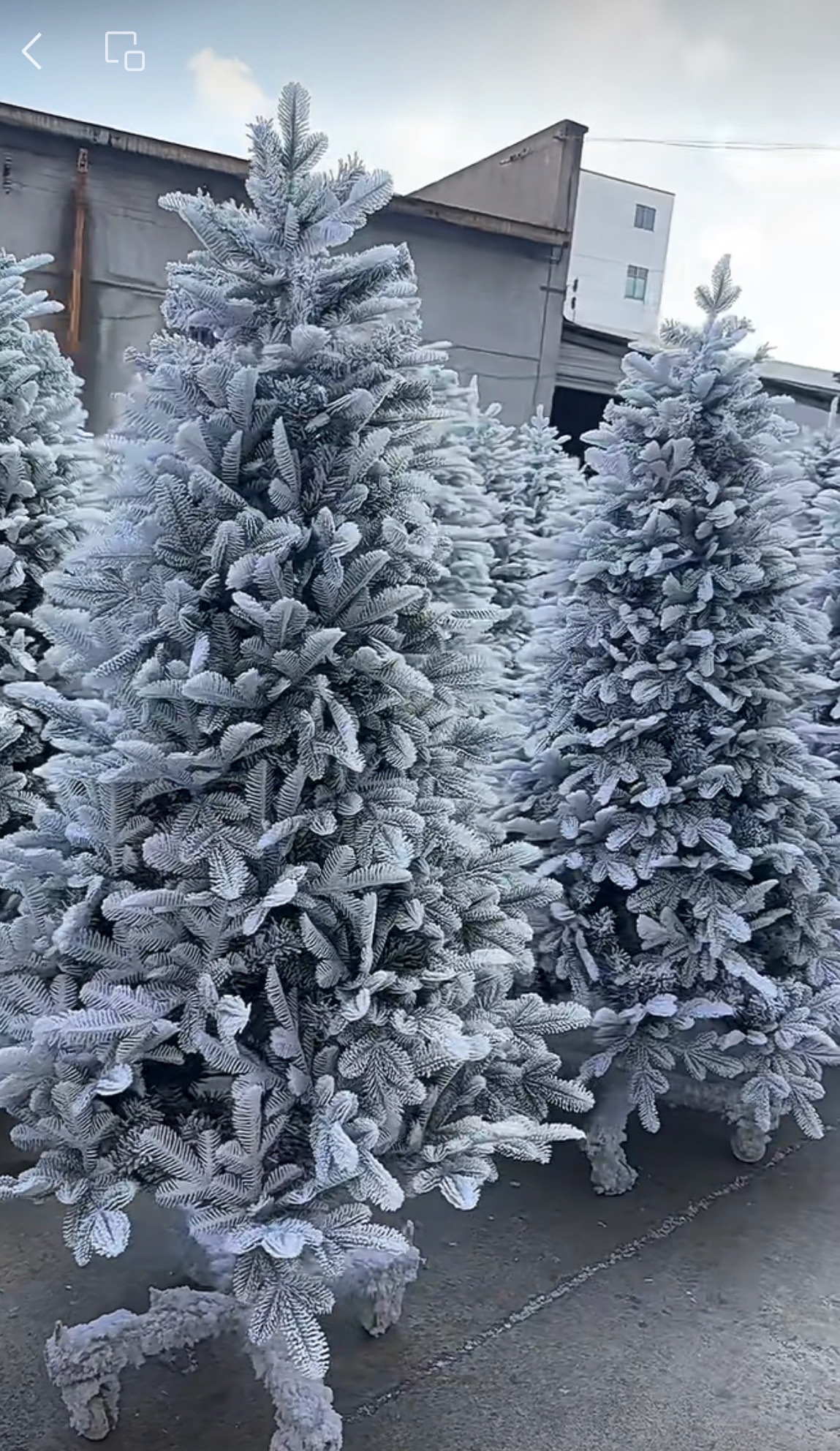 圣诞树圣诞用品节日装饰1大型圣诞节树小型圣诞树装扮圣诞节布置圣诞树详情图3