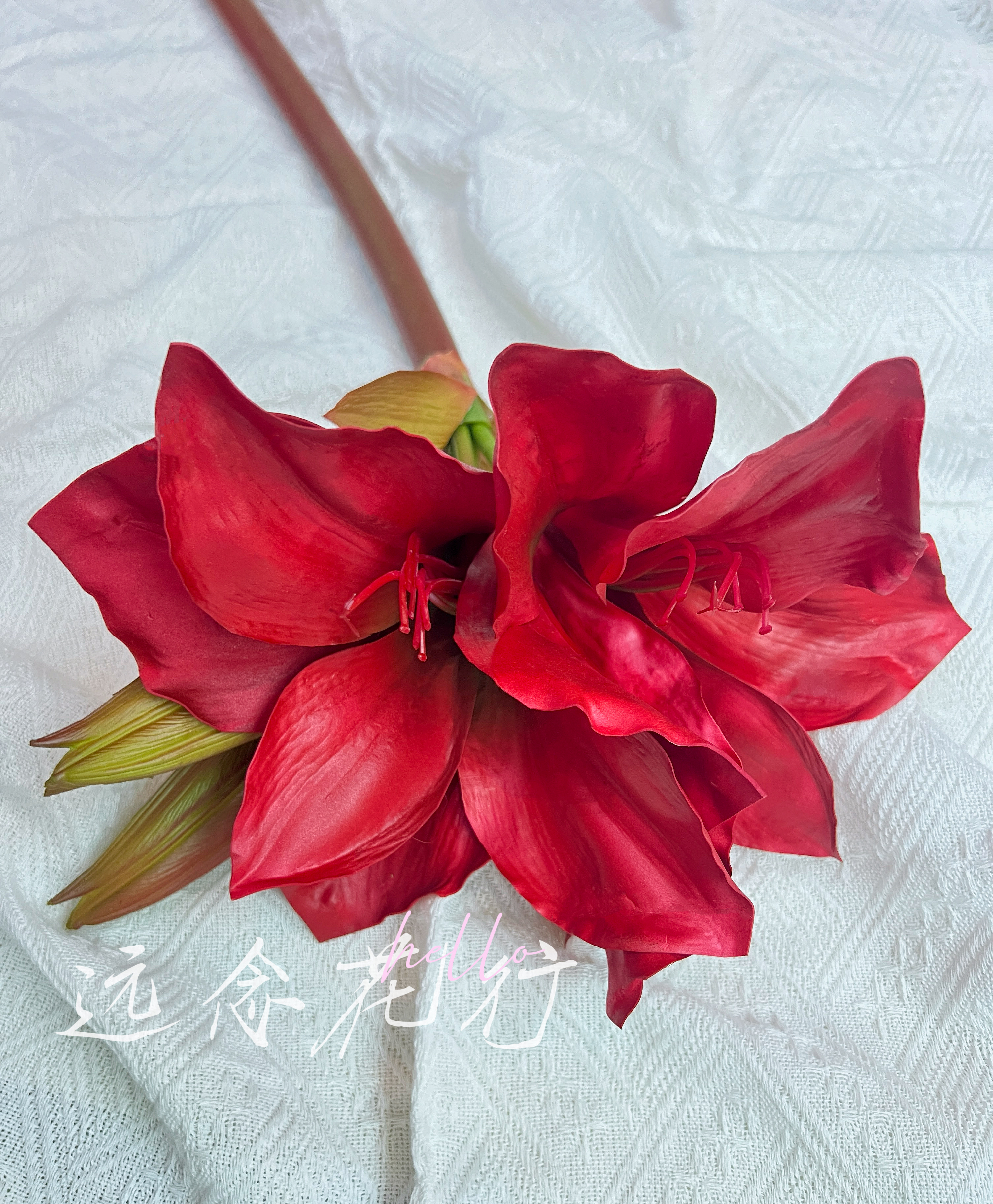 【远念花行】家居婚庆美陈装饰仿真花大朱顶红