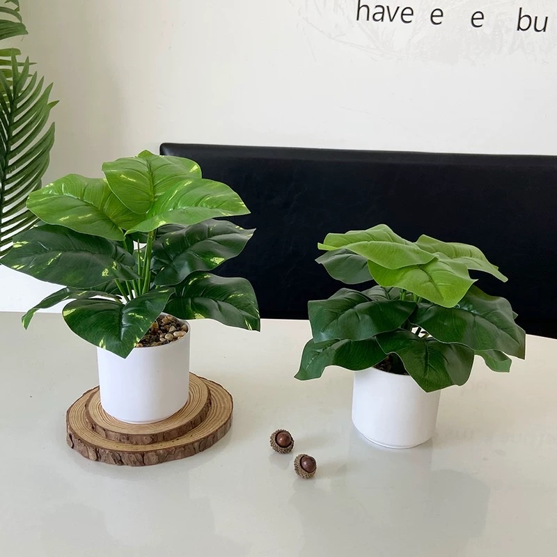 仿真绿植仿真盆景办公桌小盆栽龟背盆栽客厅装饰假花绿萝家居摆件白底实物图