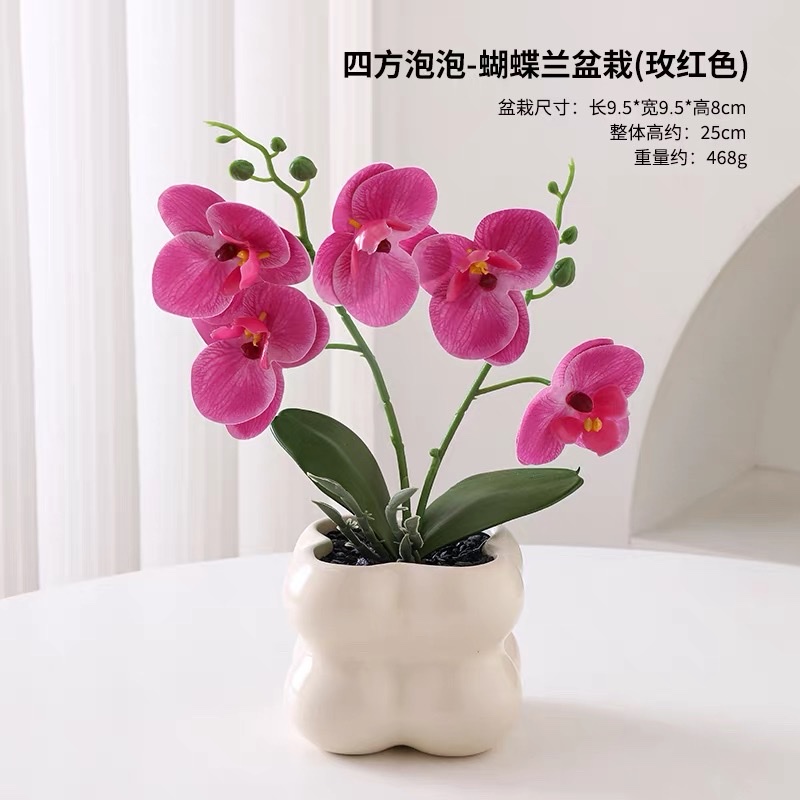仿生蝴蝶兰假花仿真花摆设高级感逼真桌面客厅装饰摆件室内小盆栽