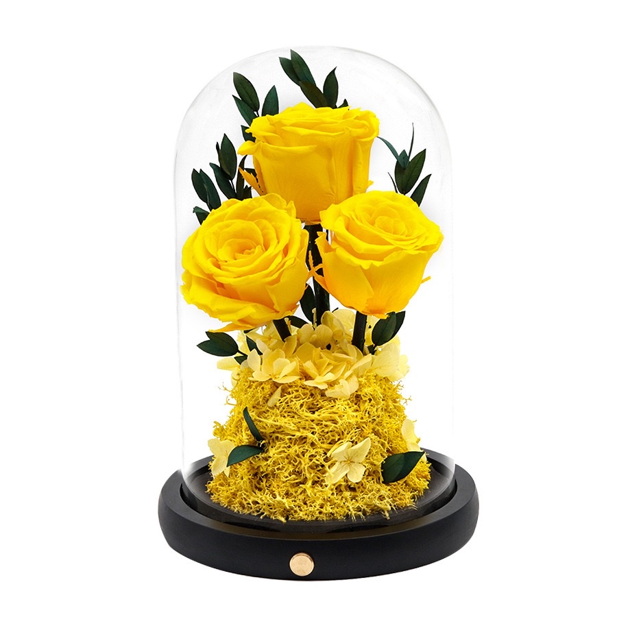 玻璃罩花瓶琉璃d永生花玻璃制品手饰装饰品创意摆件多款可选玻璃罩花瓶细节图