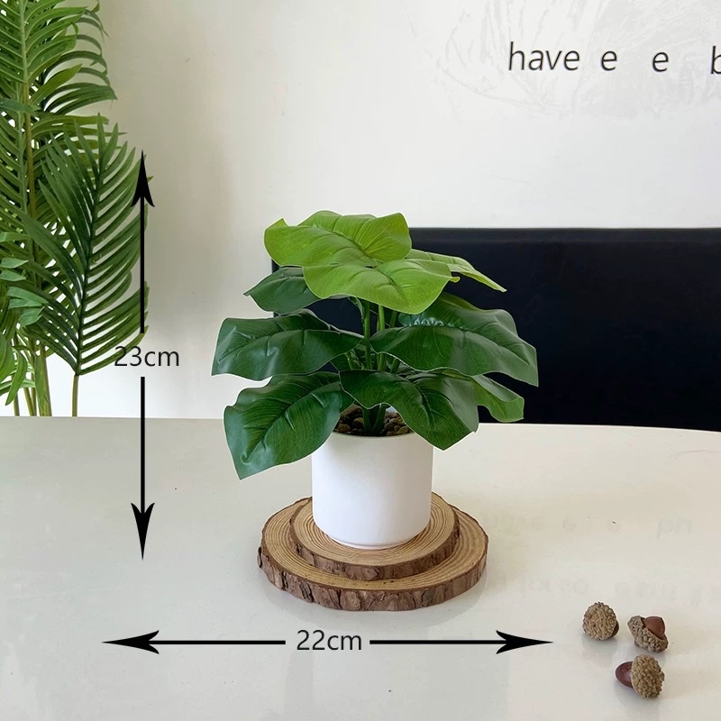 仿真花瓣实物图