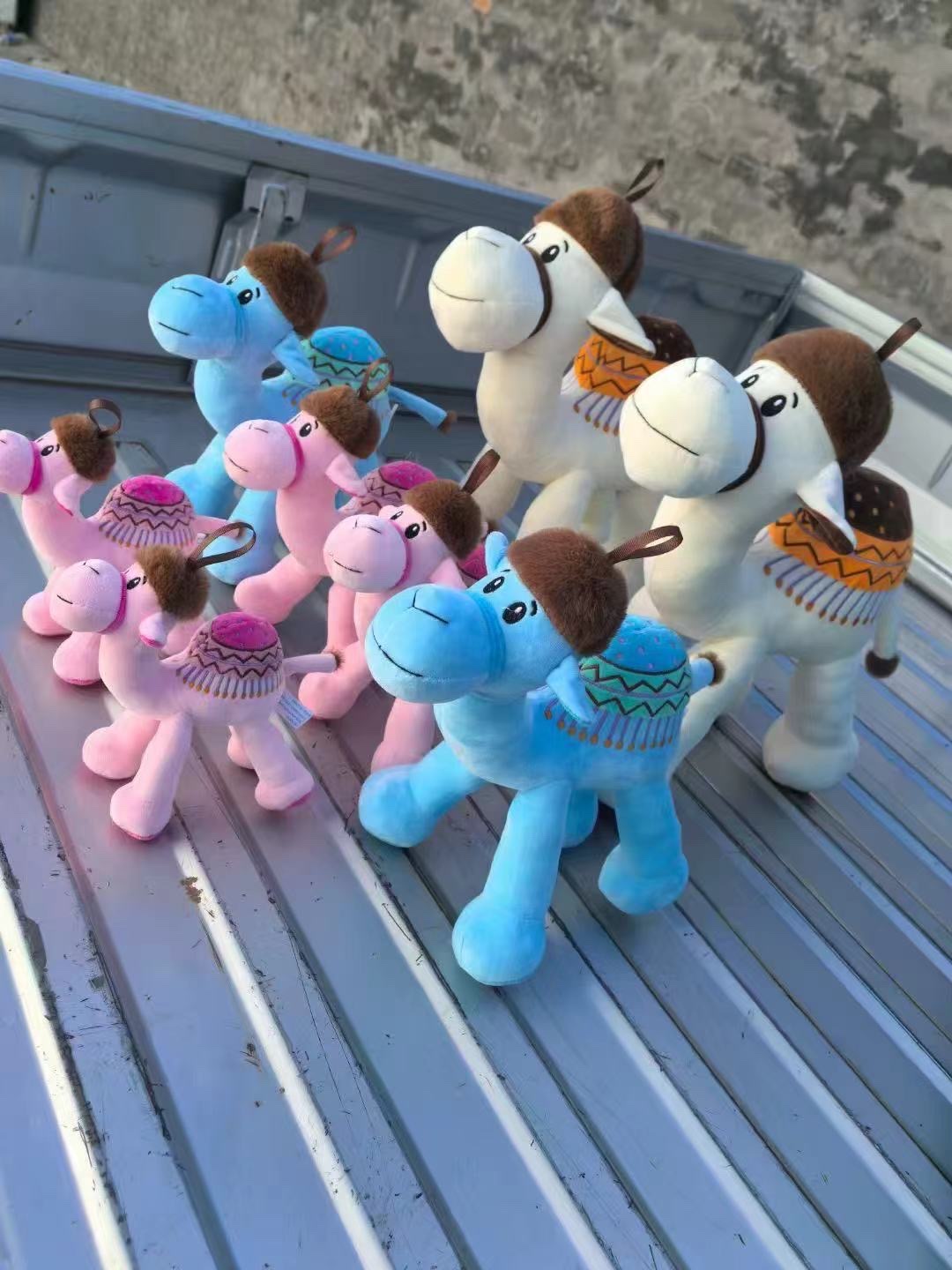 Grey Husky details Picture