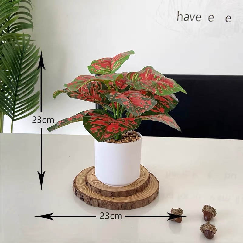 仿真绿植仿真盆景办公桌小盆栽龟背盆栽客厅装饰假花绿萝家居摆件详情图2