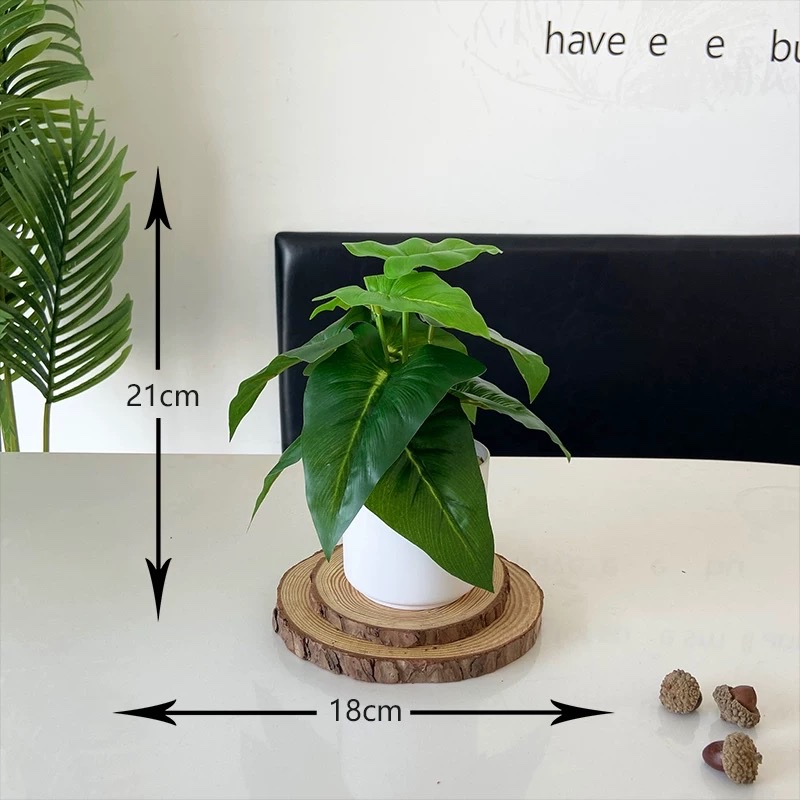 仿真绿植仿真盆景办公桌小盆栽龟背盆栽客厅装饰假花绿萝家居摆件详情图5