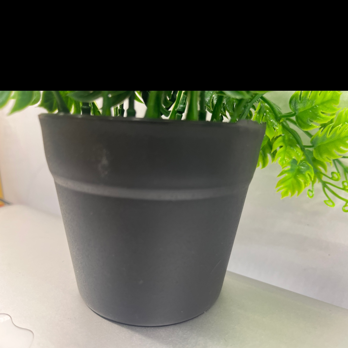小盆栽绿植桌面植物盆栽创意盆景家庭装饰适用盆栽白底实物图