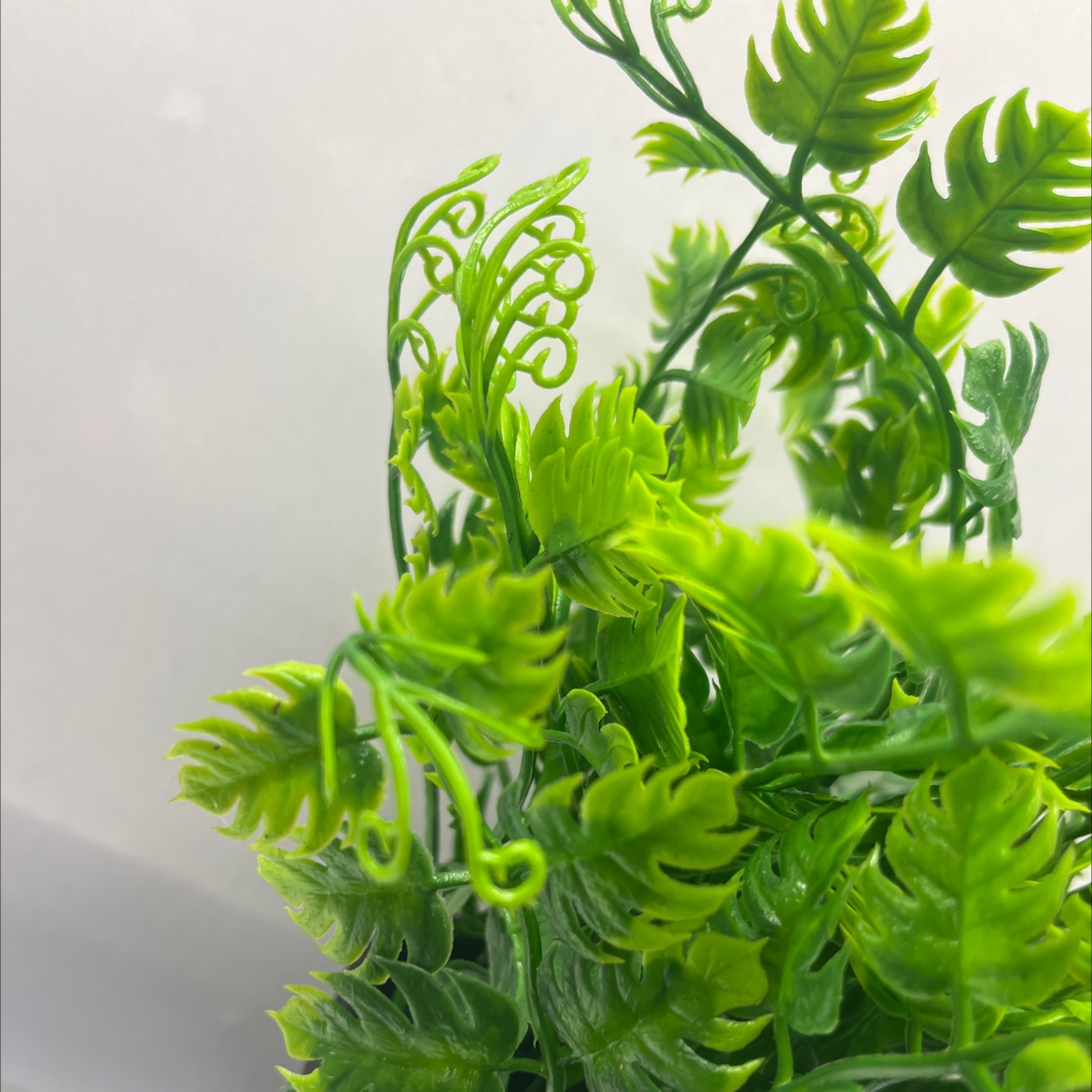 小盆栽绿植桌面植物盆栽创意盆景家庭装饰适用盆栽详情图3