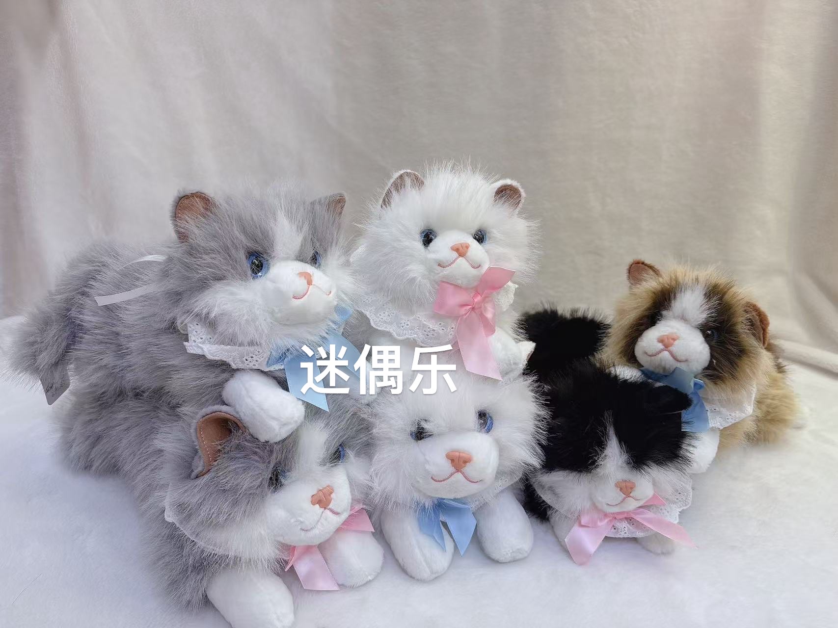 跨境爆款猫咪毛绒玩具小猫布娃娃创意潮流玩偶软萌可爱适合送礼儿童玩具详情图2