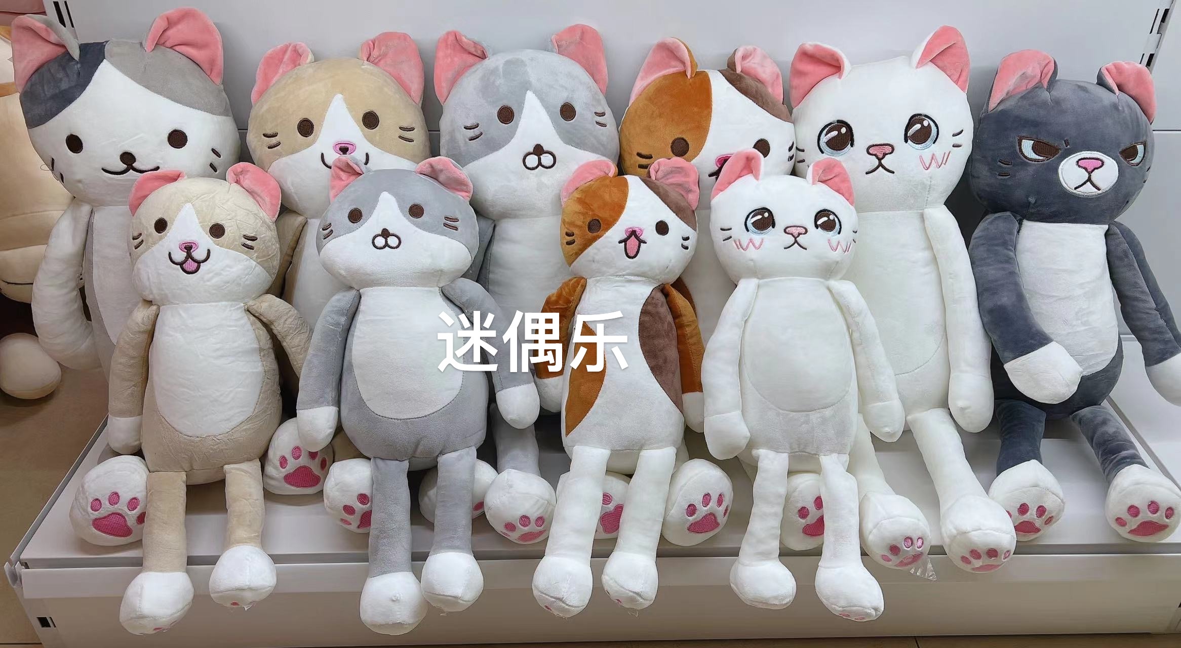 毛绒公仔、玩偶、娃娃实物图