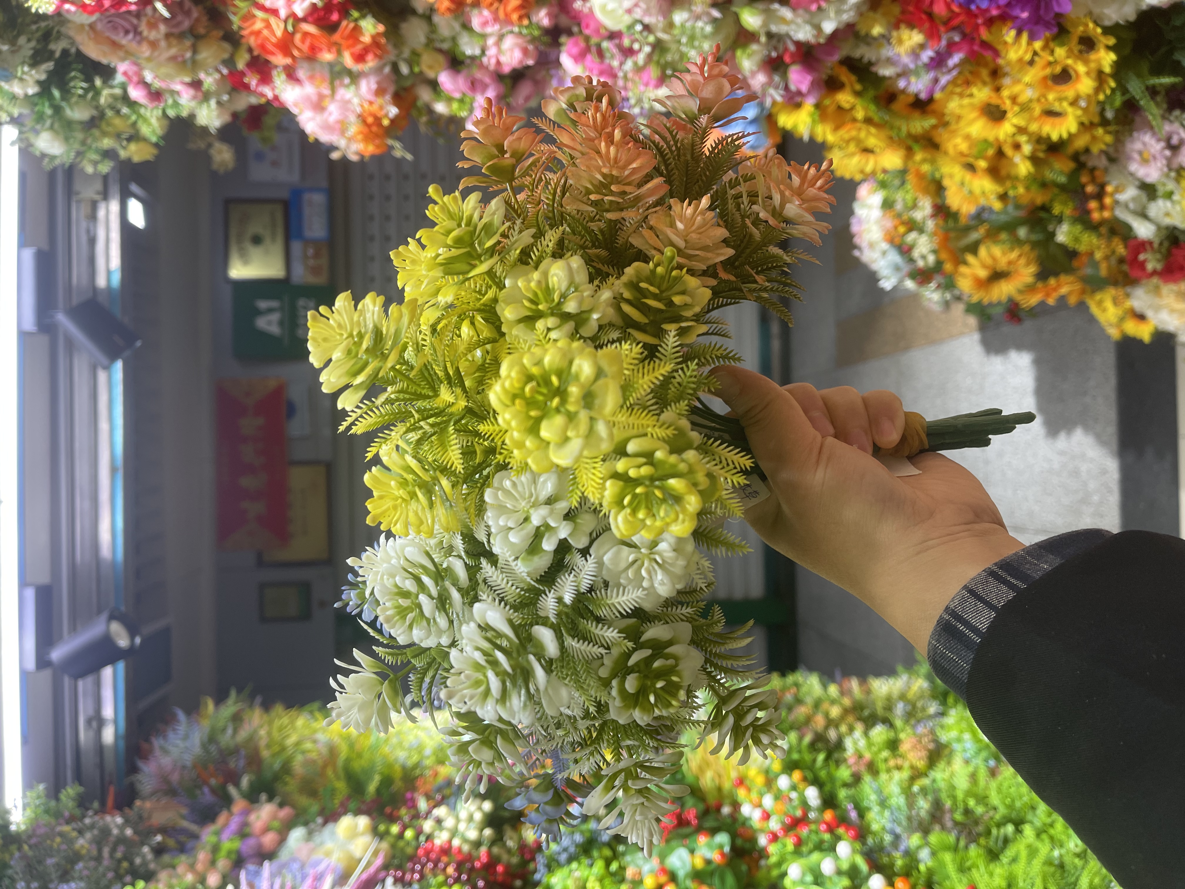 植物工艺品实物图