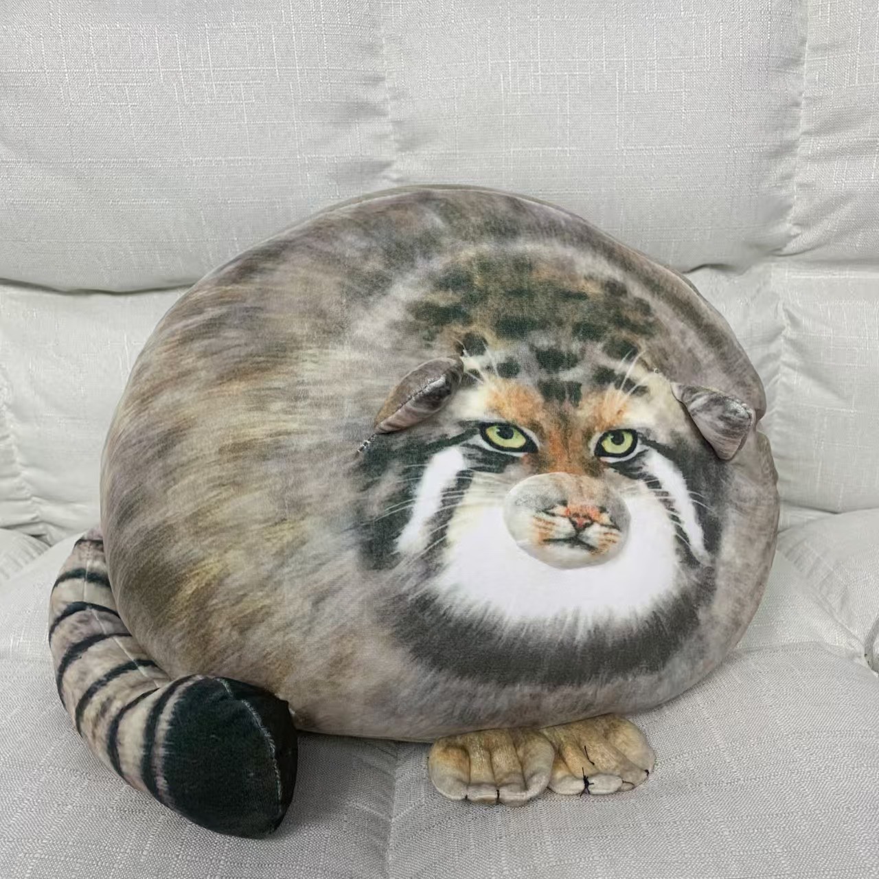 Jelly毛绒玩具仿真猫咪布娃娃创意潮流玩偶儿童礼物柔软可爱抱枕款玩偶毛绒玩具