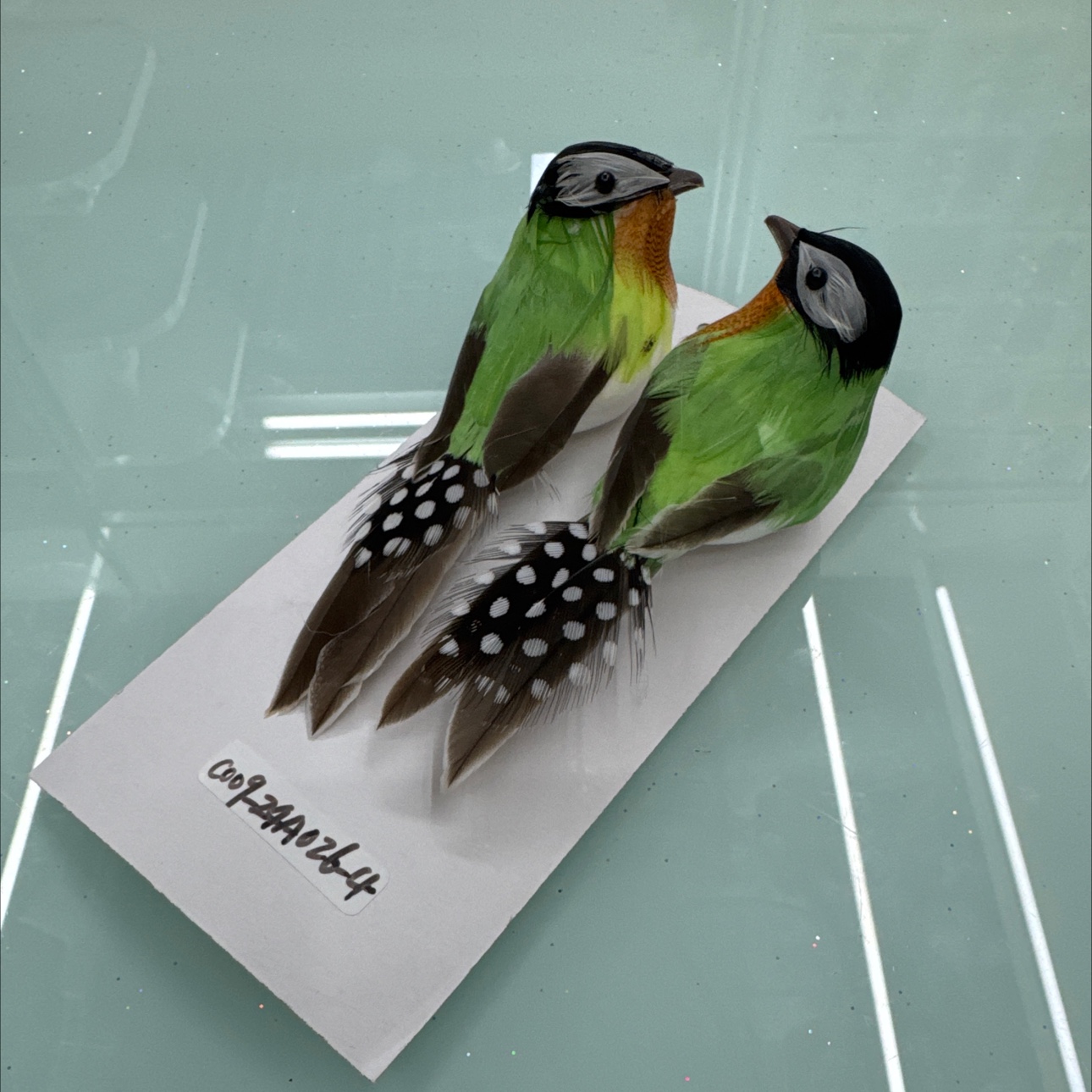 仿真昆虫实物图