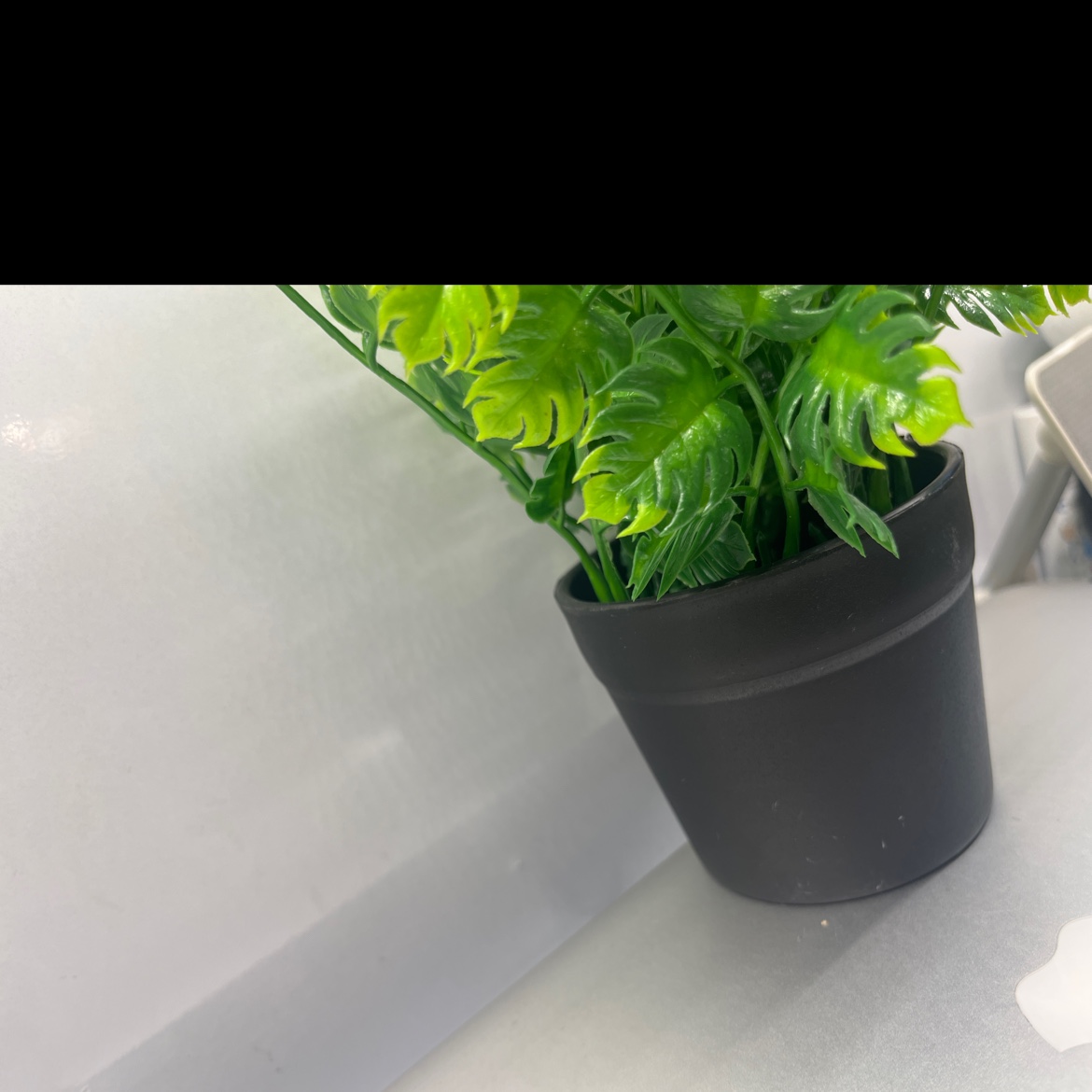 小盆栽绿植桌面植物盆栽创意盆景家庭装饰适用盆栽产品图