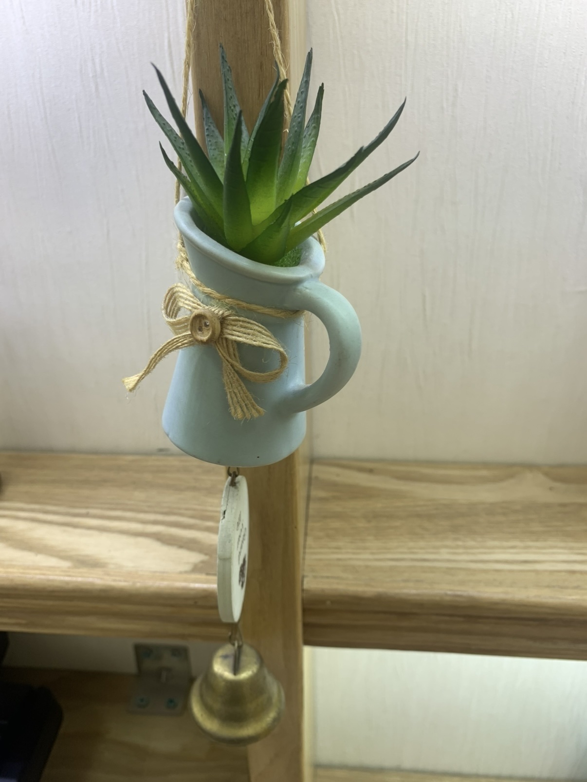 蓝色多肉风铃-001