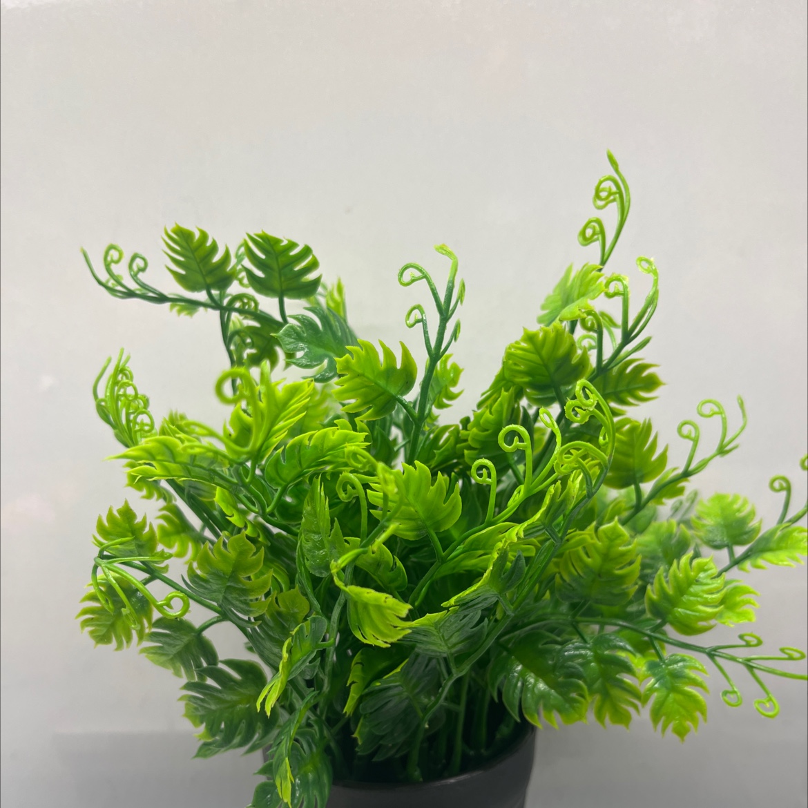 小盆栽绿植桌面植物盆栽创意盆景家庭装饰适用盆栽详情图2