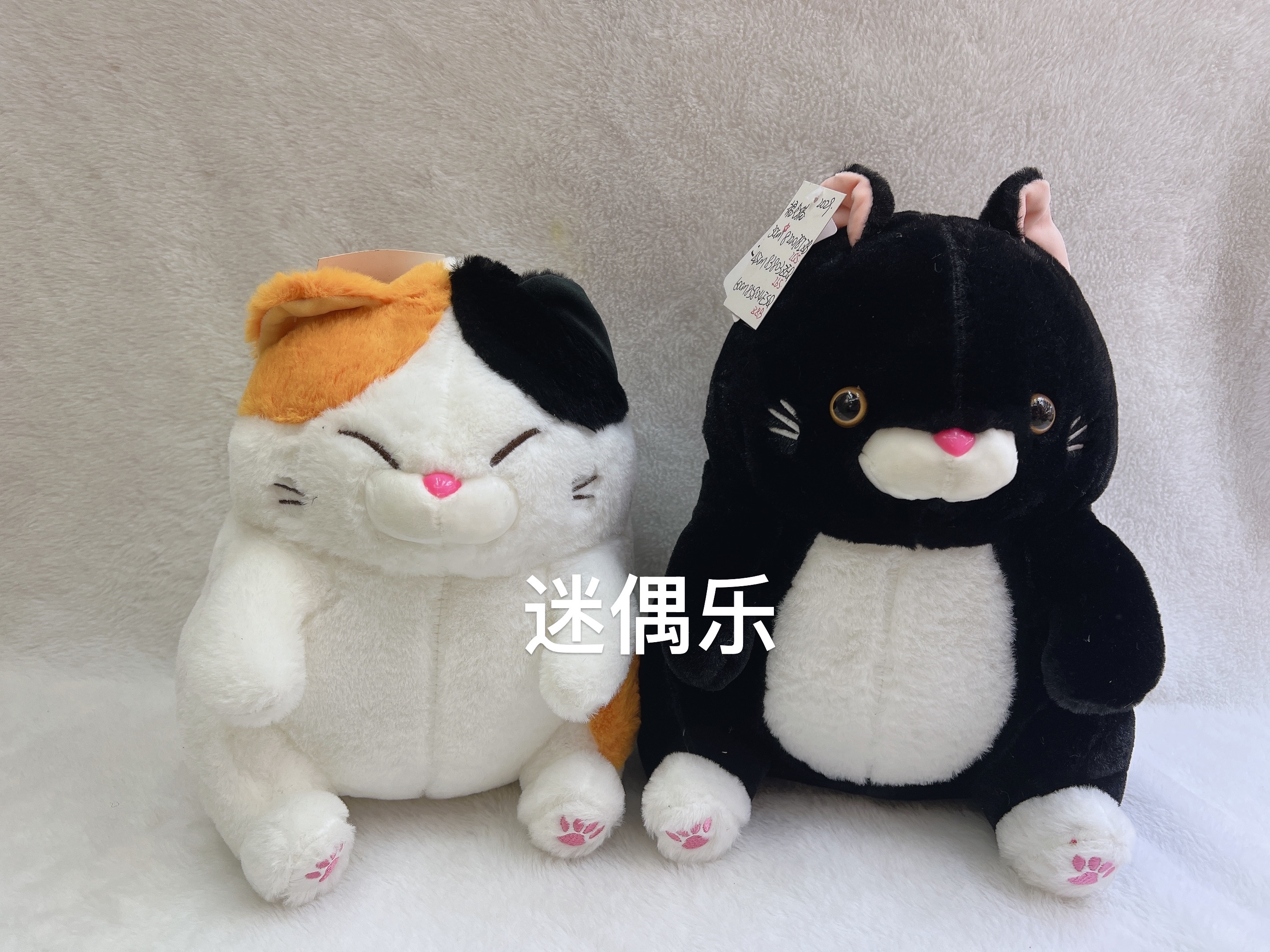 跨境爆款猫咪毛绒玩具小猫布娃娃创意潮流玩偶软萌可爱适合送礼儿童玩具产品图