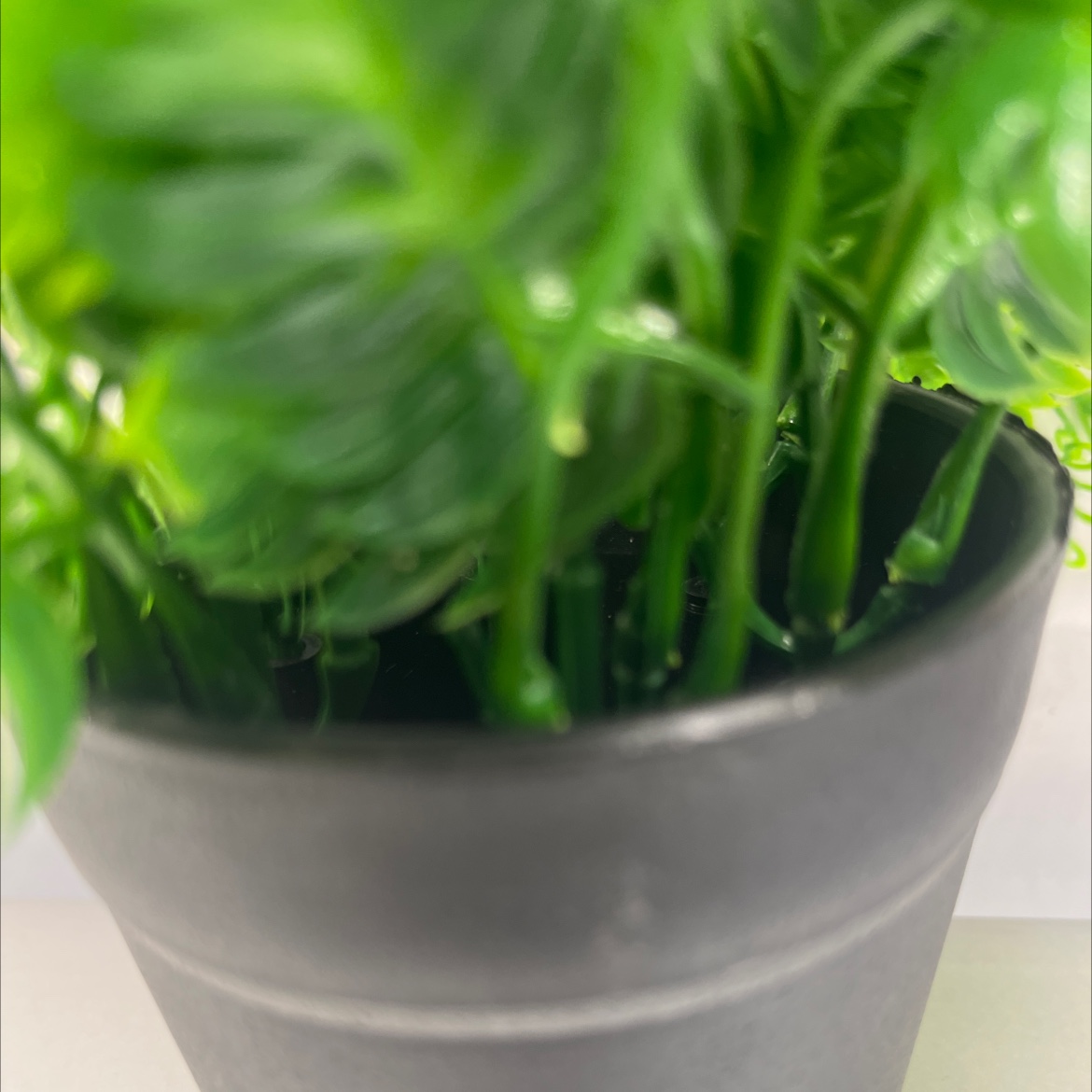 小盆栽绿植桌面植物盆栽创意盆景家庭装饰适用盆栽详情图4