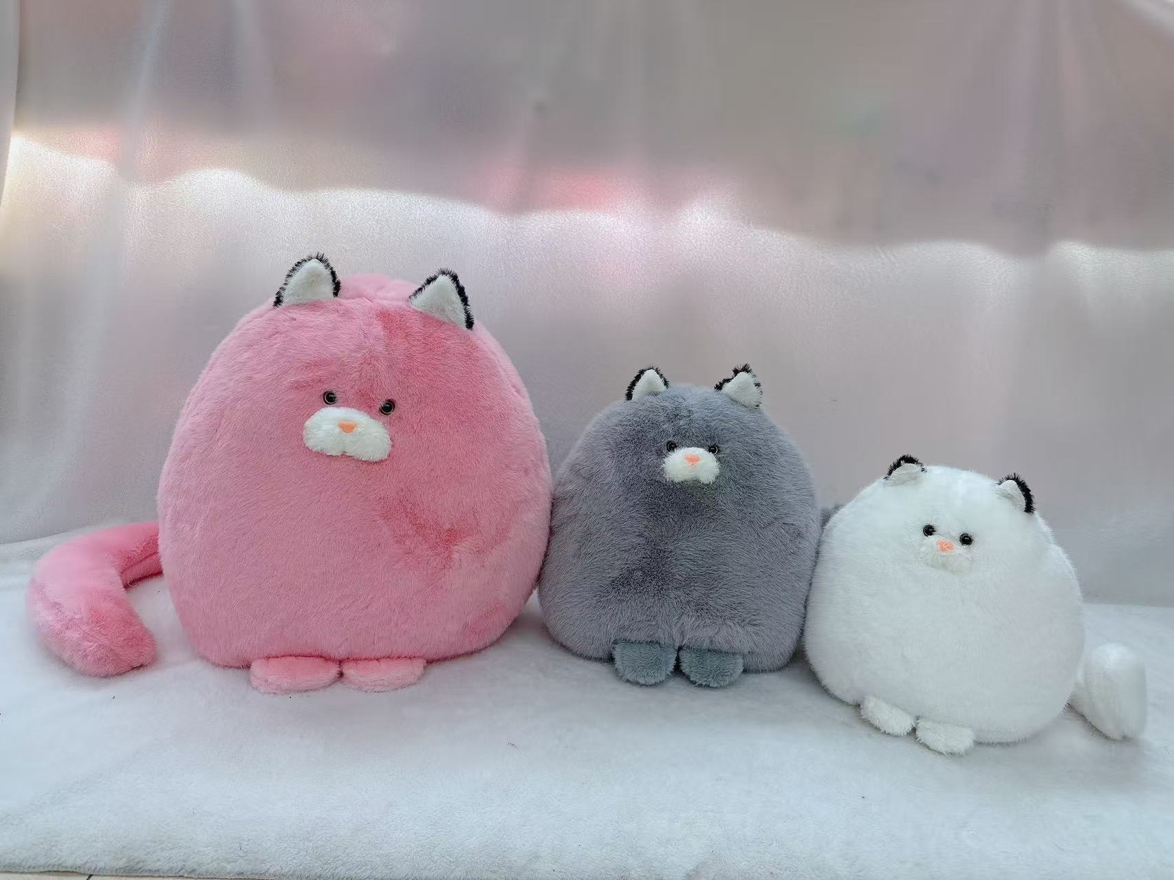 跨境爆款猫咪毛绒玩具小猫布娃娃创意潮流玩偶软萌可爱适合送礼儿童玩具详情图9