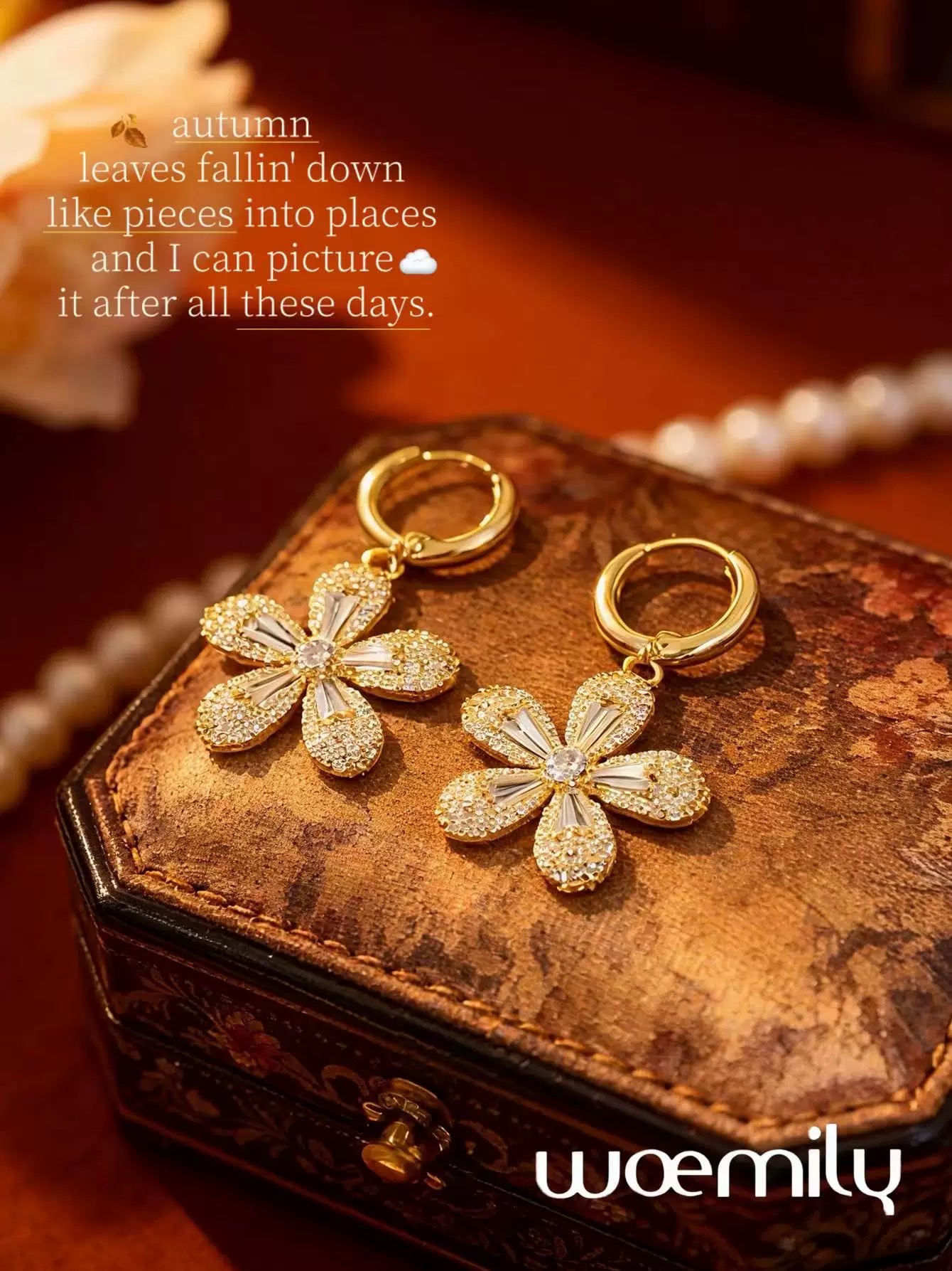 Korean version of the popular snowflake earrings, earrings and accessories Item Picture