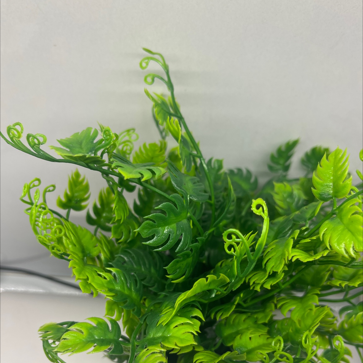 小盆栽绿植桌面植物盆栽创意盆景家庭装饰适用盆栽详情图5