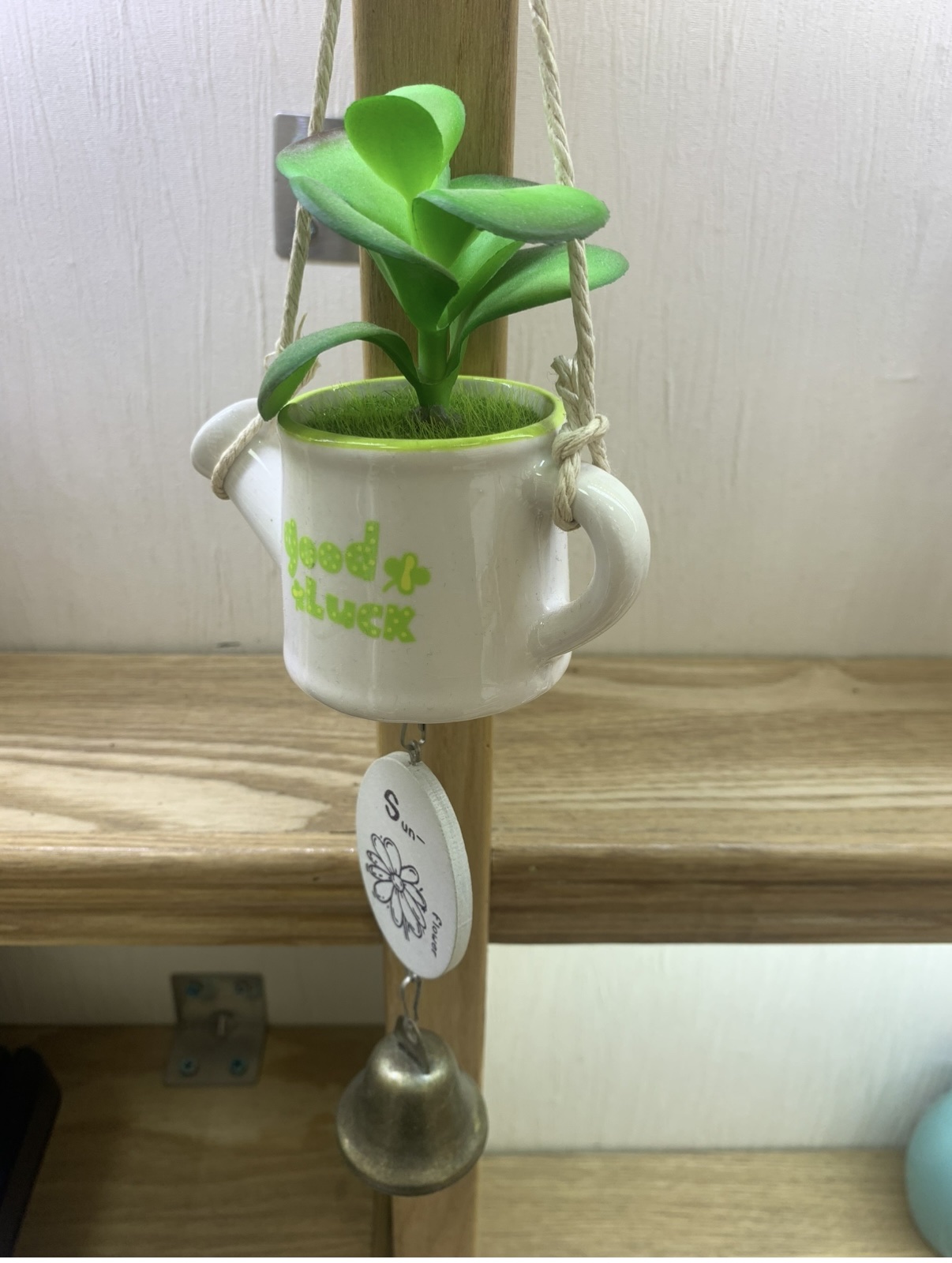 白色多肉植物风铃