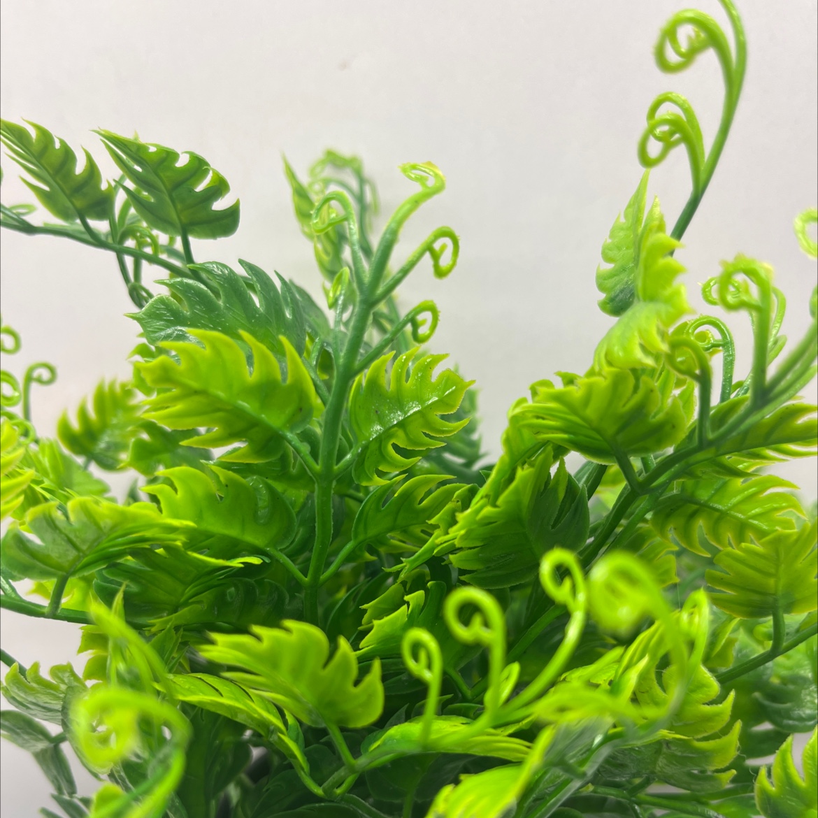 小盆栽绿植桌面植物盆栽创意盆景家庭装饰适用盆栽细节图