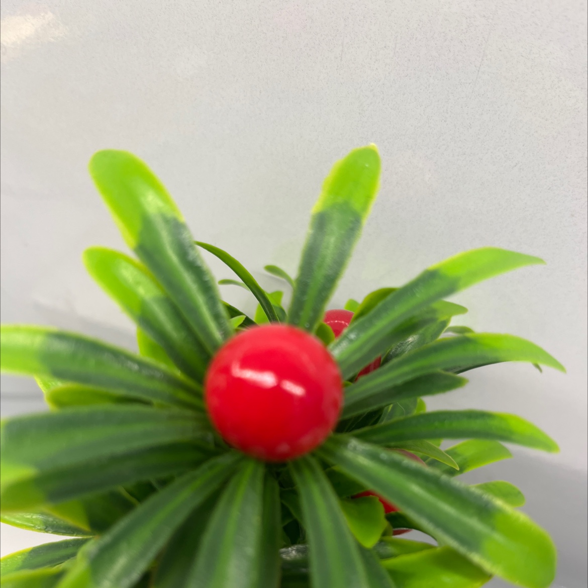 仿真金桔小盆栽盆栽摆件自然风格室内装饰树艺绿植装饰品细节图