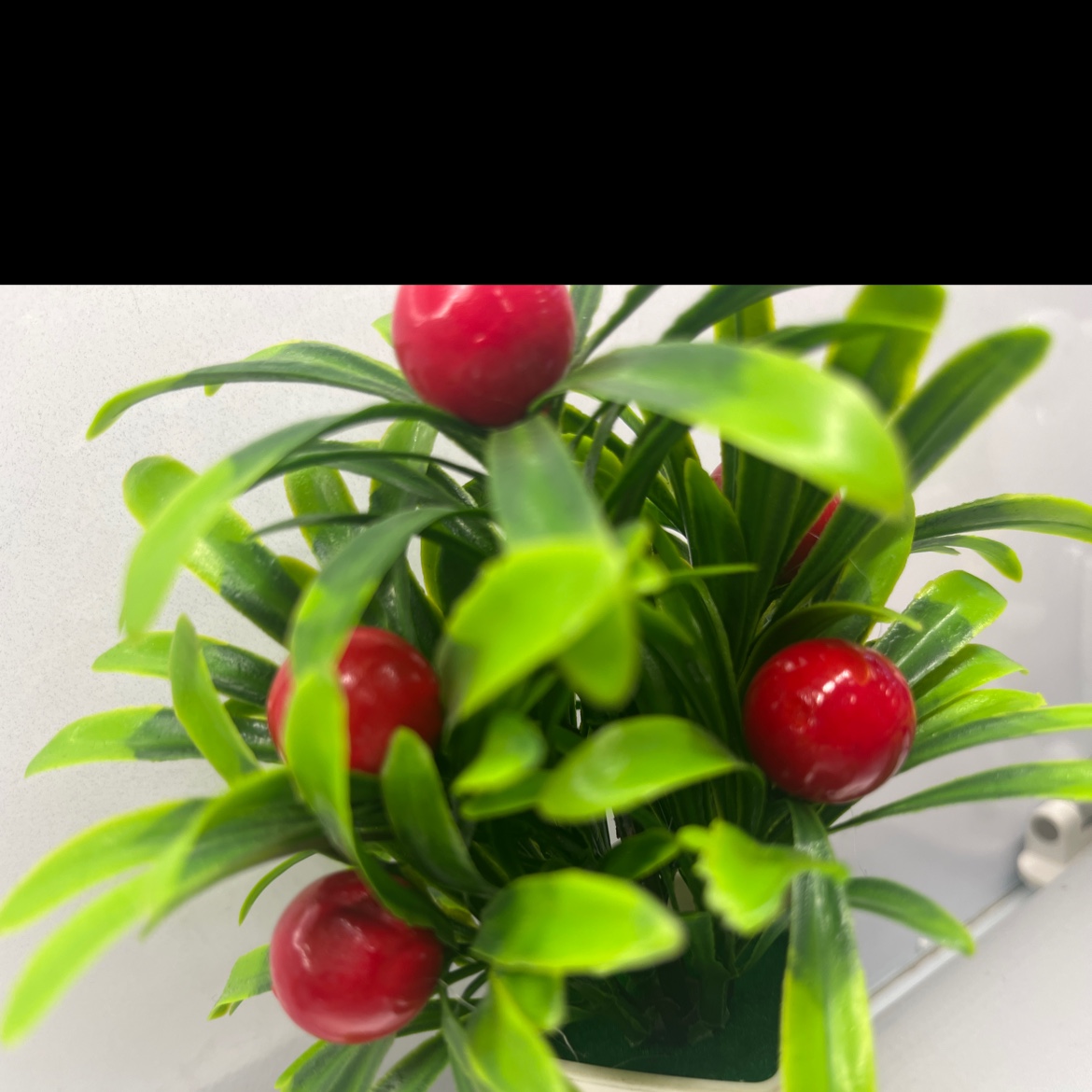 仿真金桔小盆栽盆栽摆件自然风格室内装饰树艺绿植装饰品白底实物图