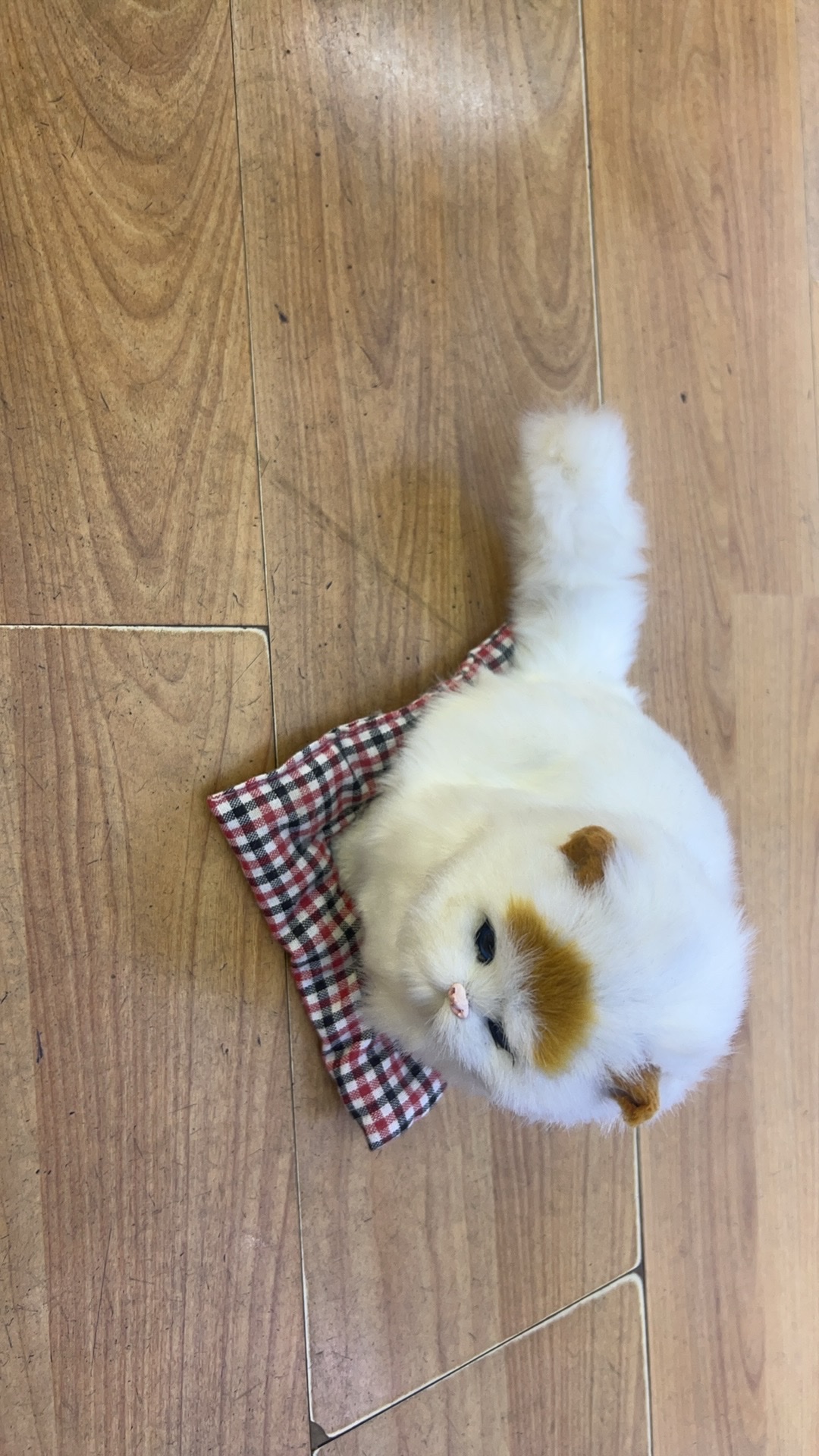 宠物猫猫玩具逗猫棒猫抓板宠物用品趣味猫咪玩具耐咬互动宠物玩具用品玩具逗猫棒猫抓板宠物用品趣味猫咪玩具汽车摆件竹炭颗粒园林详情图4