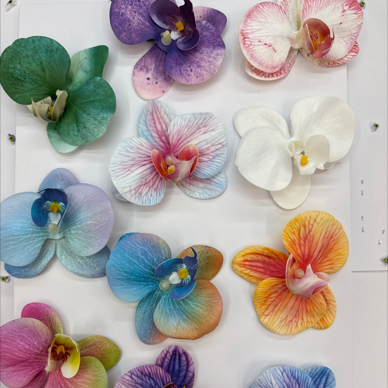 仿真花蝴蝶兰 3d打印 方针花朵