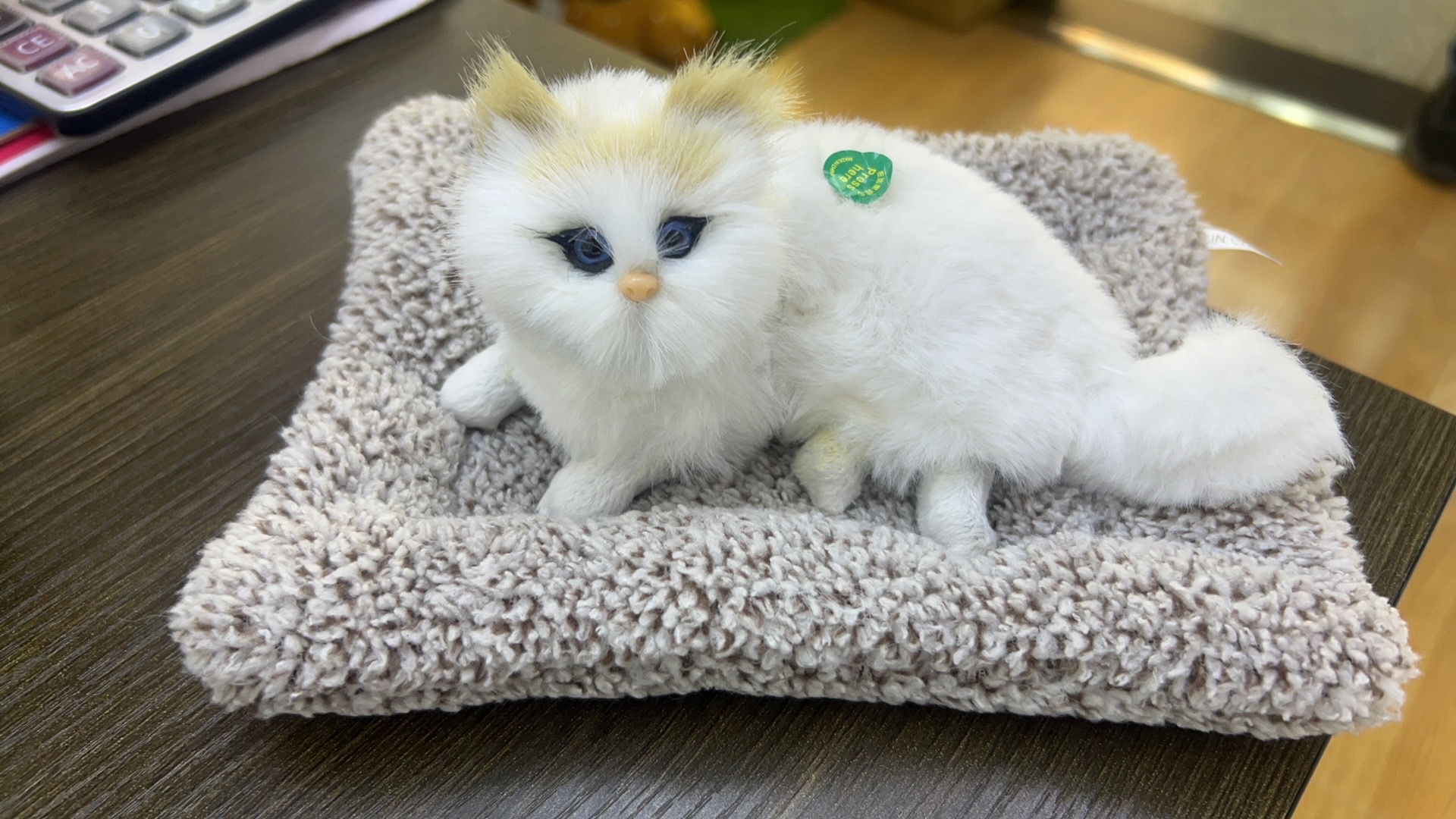 宠物猫猫玩具逗猫棒猫抓板宠物用品趣味猫咪玩具耐咬互动宠物玩具用品玩具逗猫棒猫抓板宠物用品趣味猫咪玩具汽车摆件竹炭颗粒园林详情图2