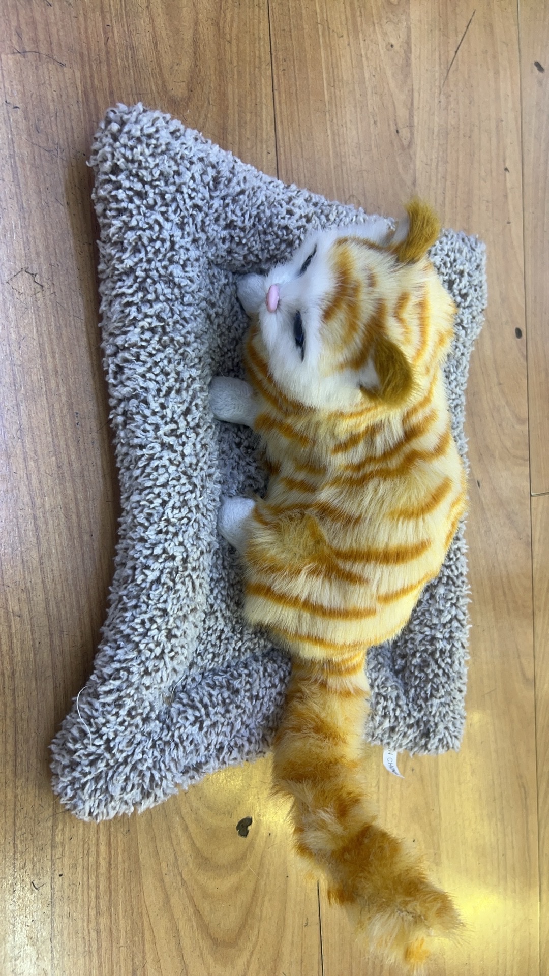 宠物猫猫玩具逗猫棒猫抓板宠物用品趣味猫咪玩具耐咬互动宠物玩具用品玩具逗猫棒猫抓板宠物用品趣味猫咪玩具汽车摆件竹炭颗粒园林详情图5
