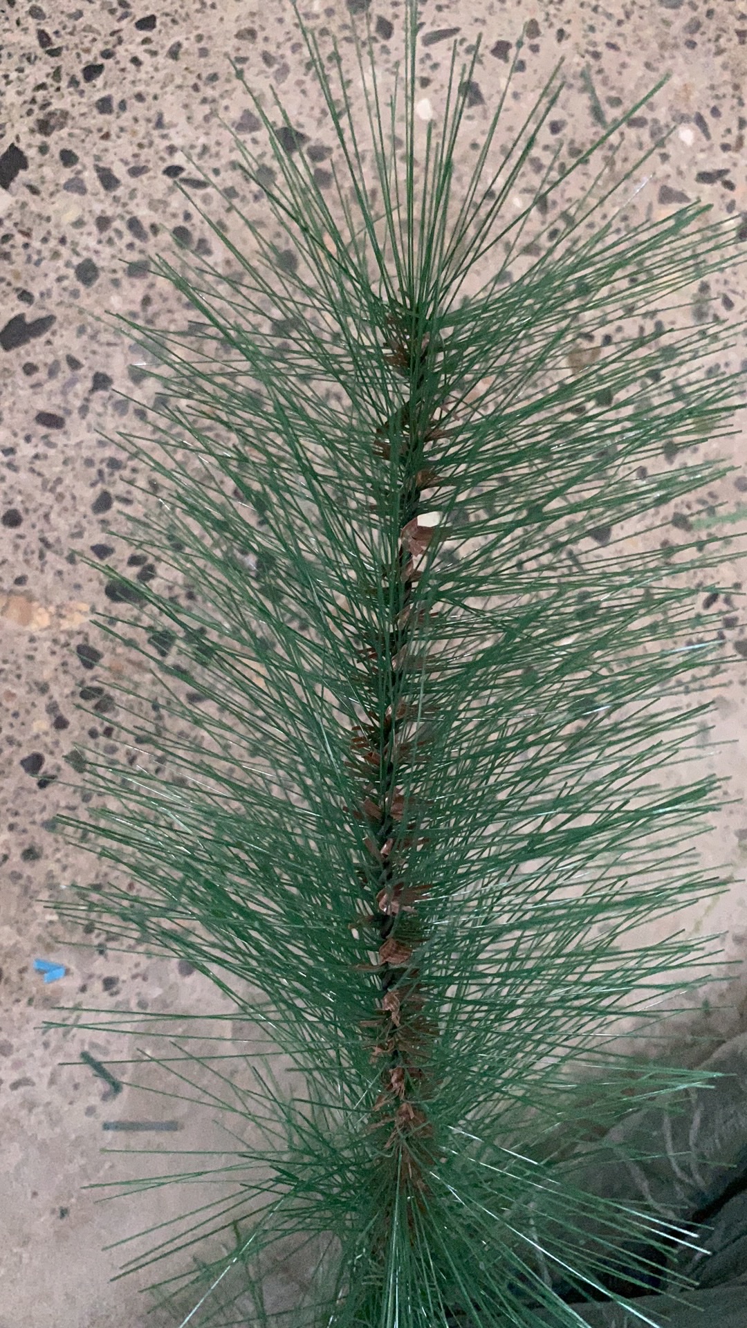 万德福工艺圣诞枝头