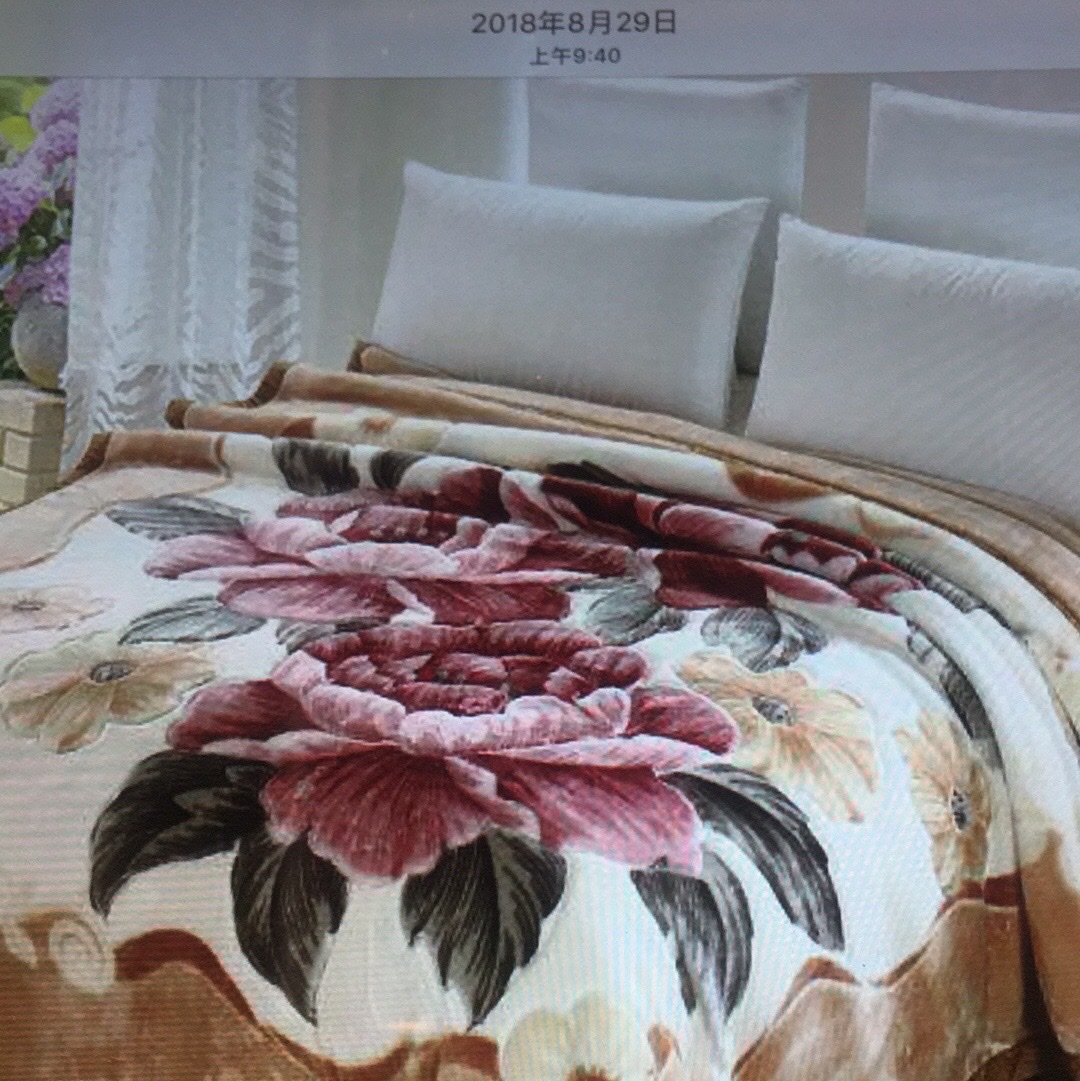 厂家直销毛毯定做盖毯柔软舒适拉舍尔毯专用毛毯零售精品毯子毛毯