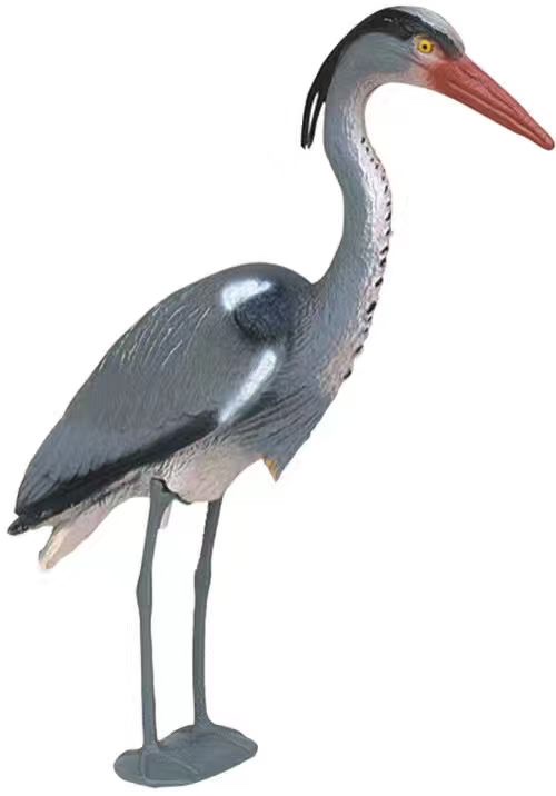 灰鹭翩翩起舞，翅膀划过空气中的轨迹，如诗般优雅