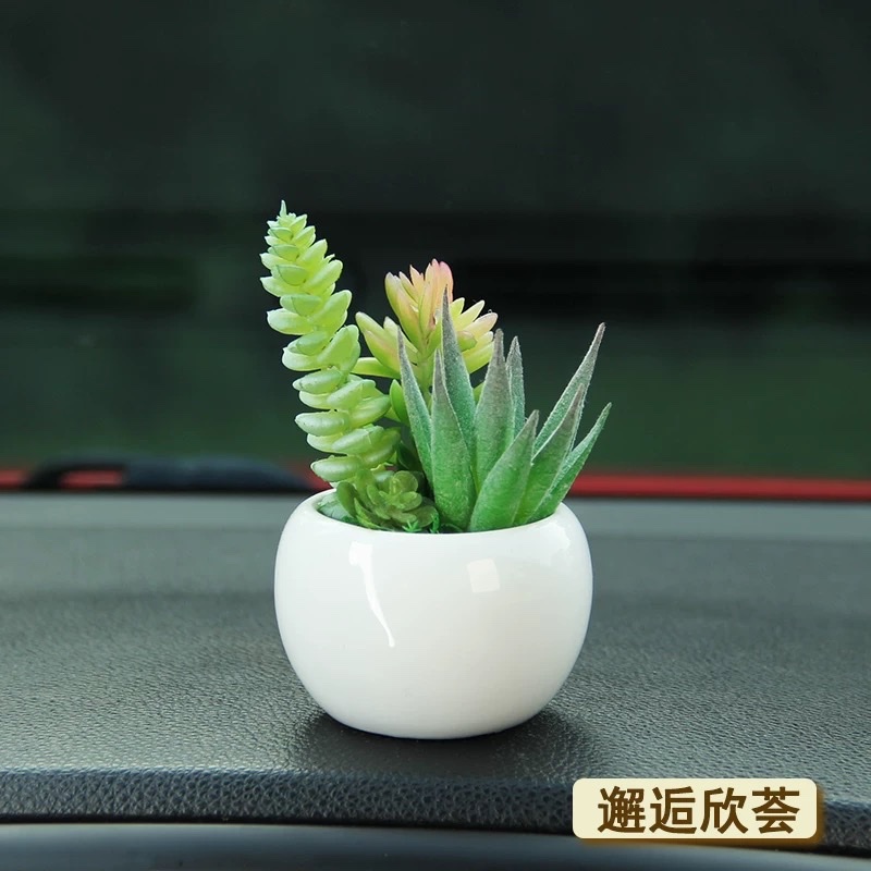 2025车内车载摆件车内饰汽车中控装饰仿真植物多肉盆栽桌面细节图