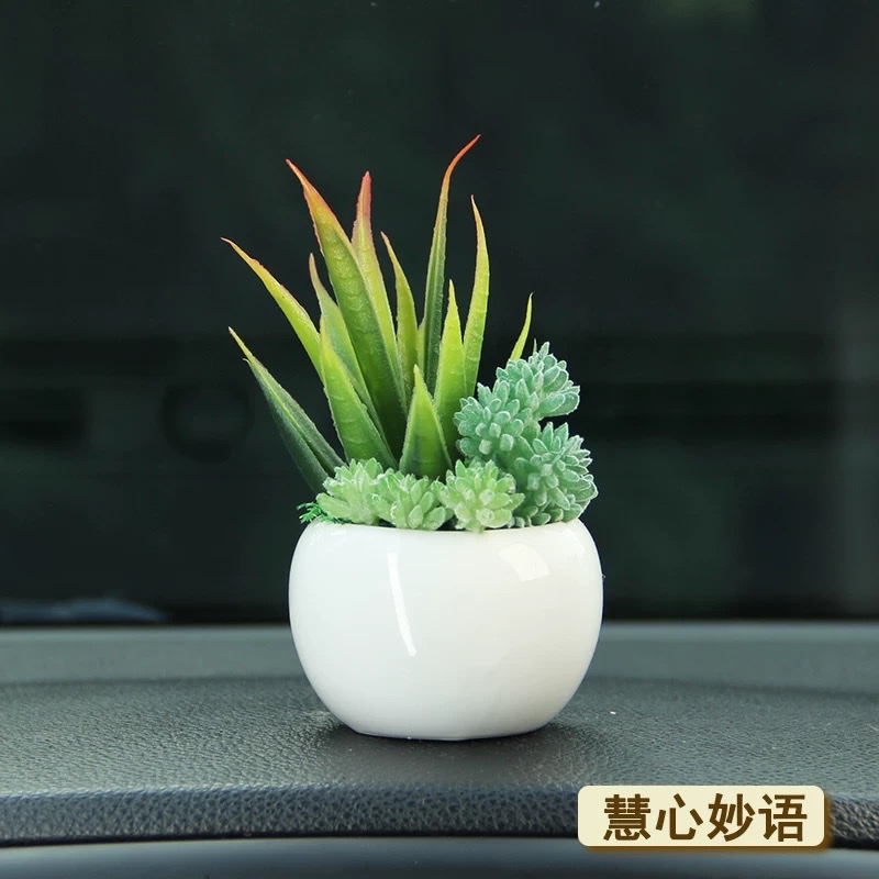 2025车内车载摆件车内饰汽车中控装饰仿真植物多肉盆栽桌面详情图3