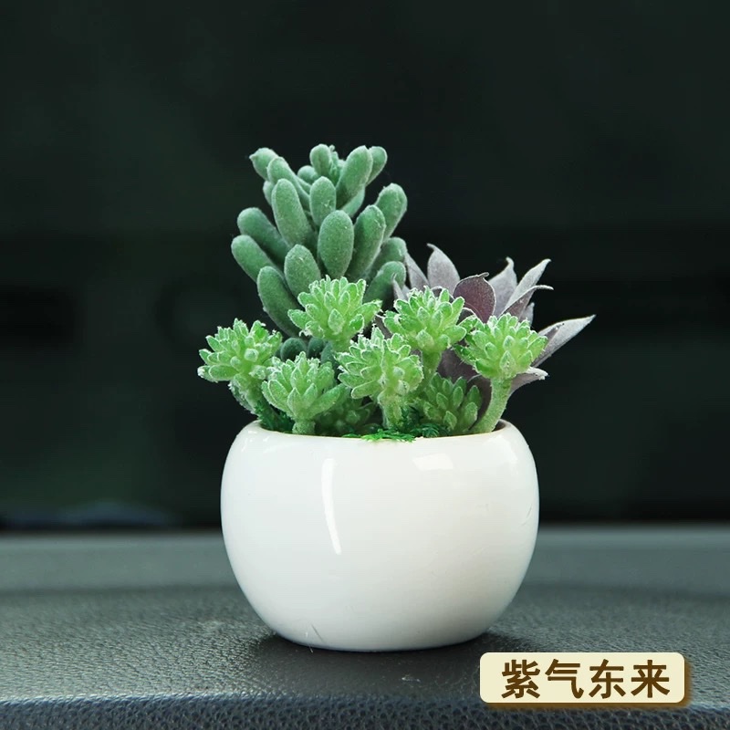 2025车内车载摆件车内饰汽车中控装饰仿真植物多肉盆栽桌面