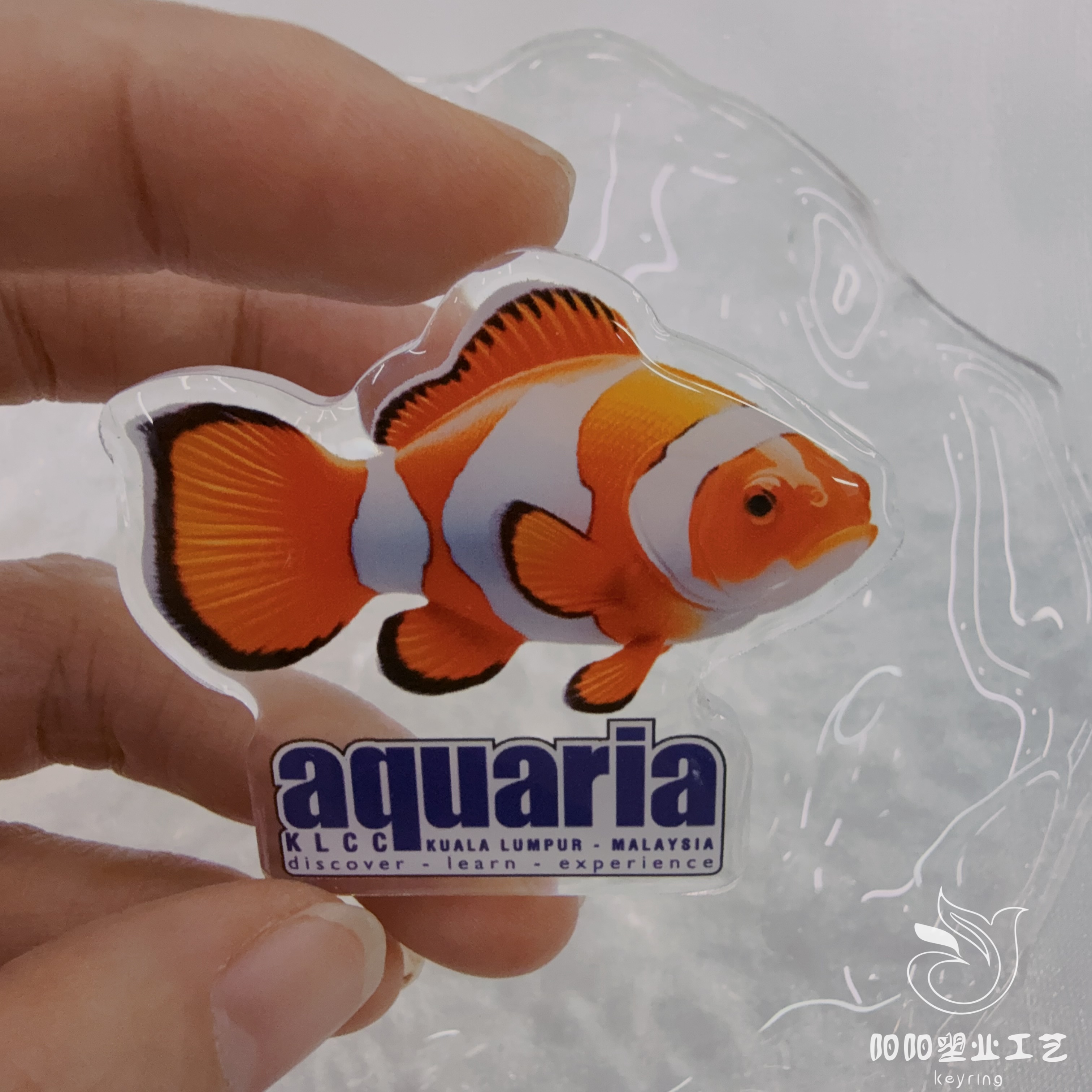 Biología marina ciencia popular refrigerador adhesivo magnético hipocampo pez payaso langostas cangrejo imperial adhesivo regalo para niños succión magnética Application Scenario