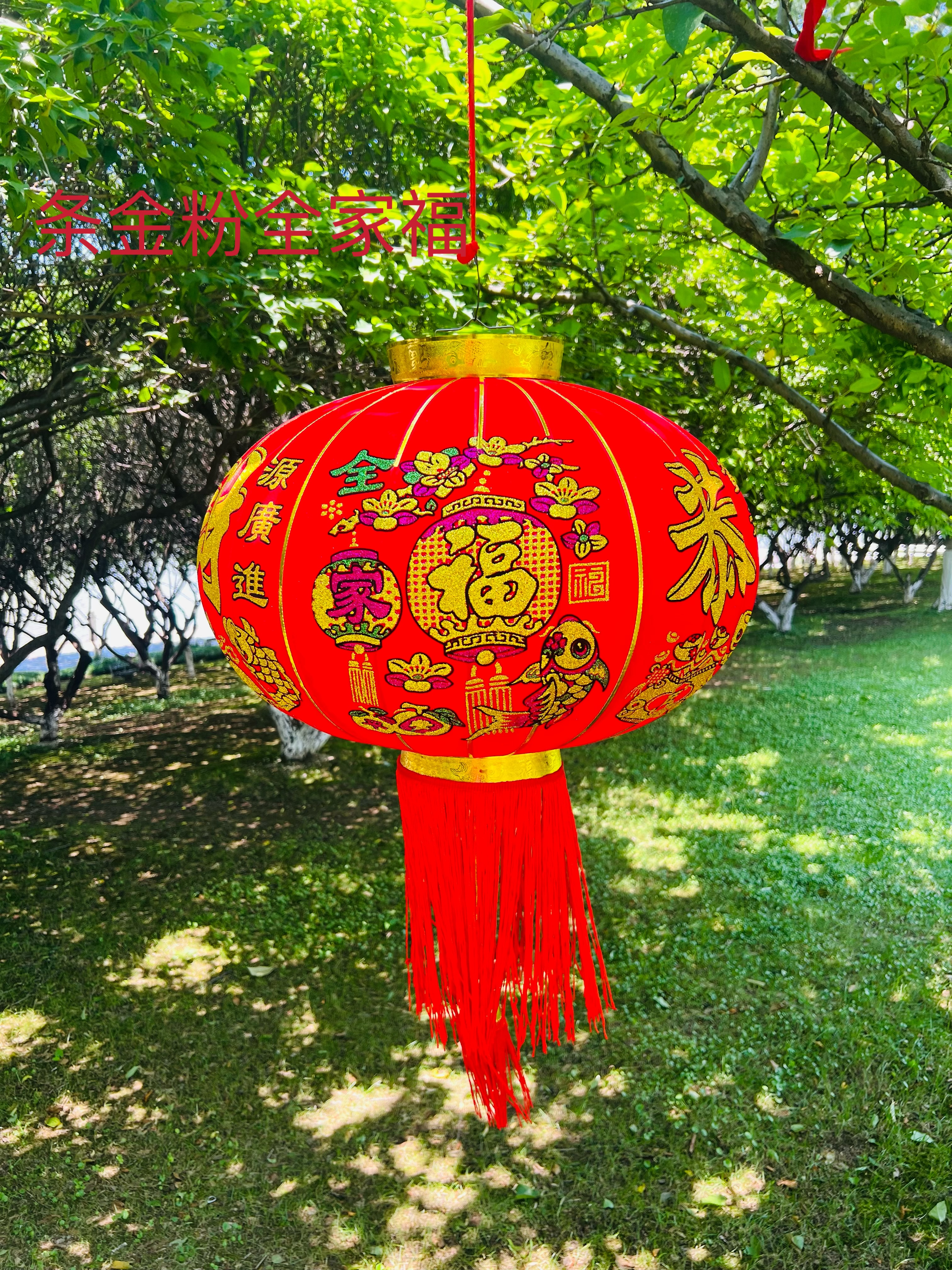 金粉全家福恭喜发财