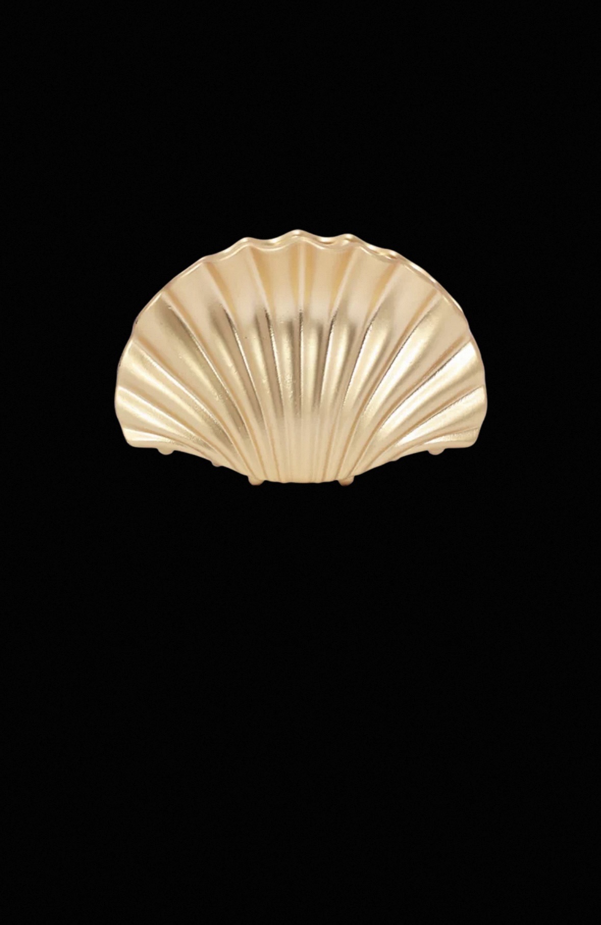 "Sea Shell" Hair Grabber small female hair clip, new high ponytail hair volume, simple metal style shark clip Item Picture