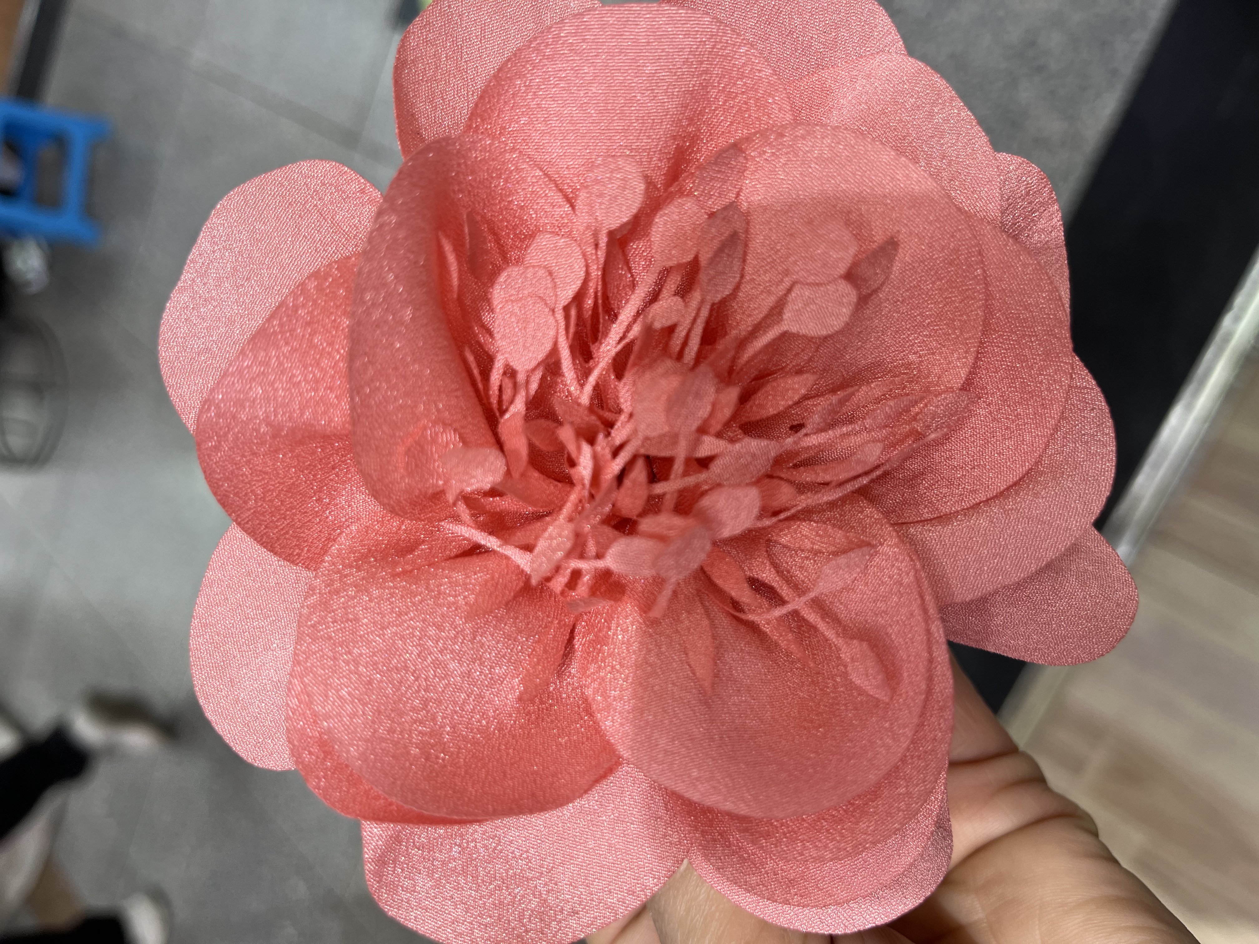 亮丝纷5公分牡丹花十布花心爪子
