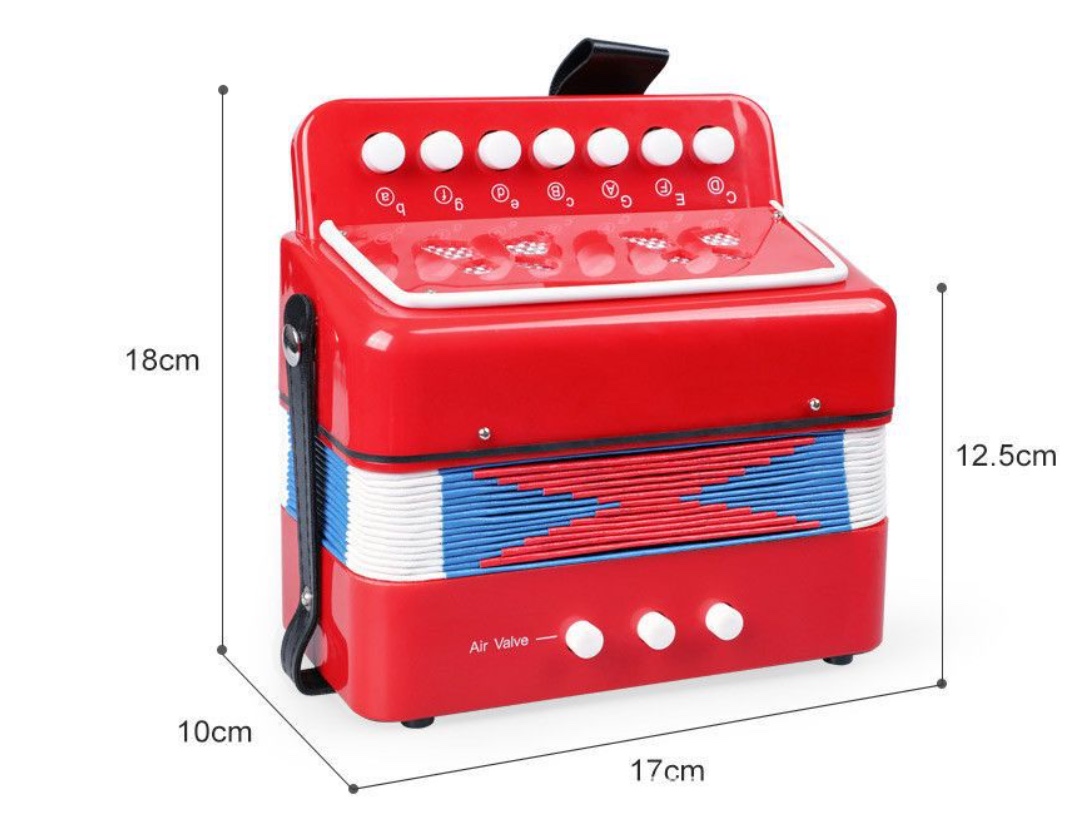 手风琴乐器 教学乐器