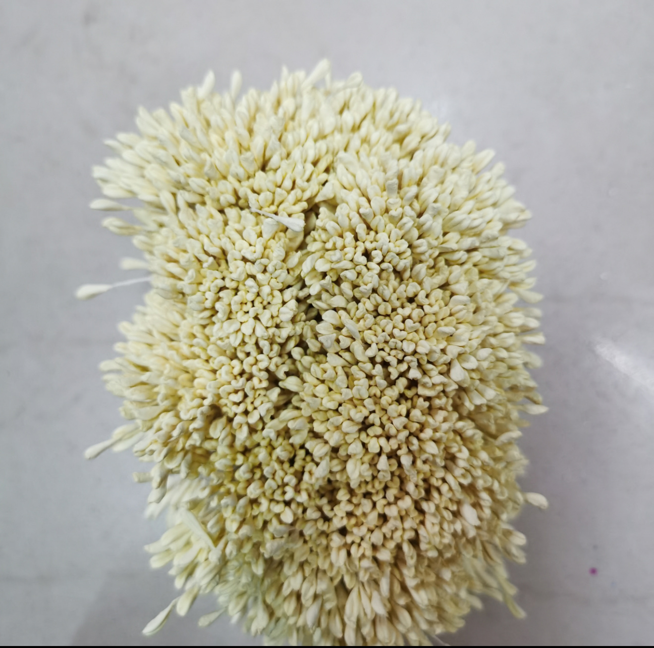 Milky white rose core. Malt core detail image 4