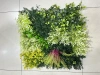Artificial plant walls for indoor and outdoor landscaping and decoration, artificial turf, artificial flower walls, company shopping mall image walls, partitions, background green plant walls details Picture